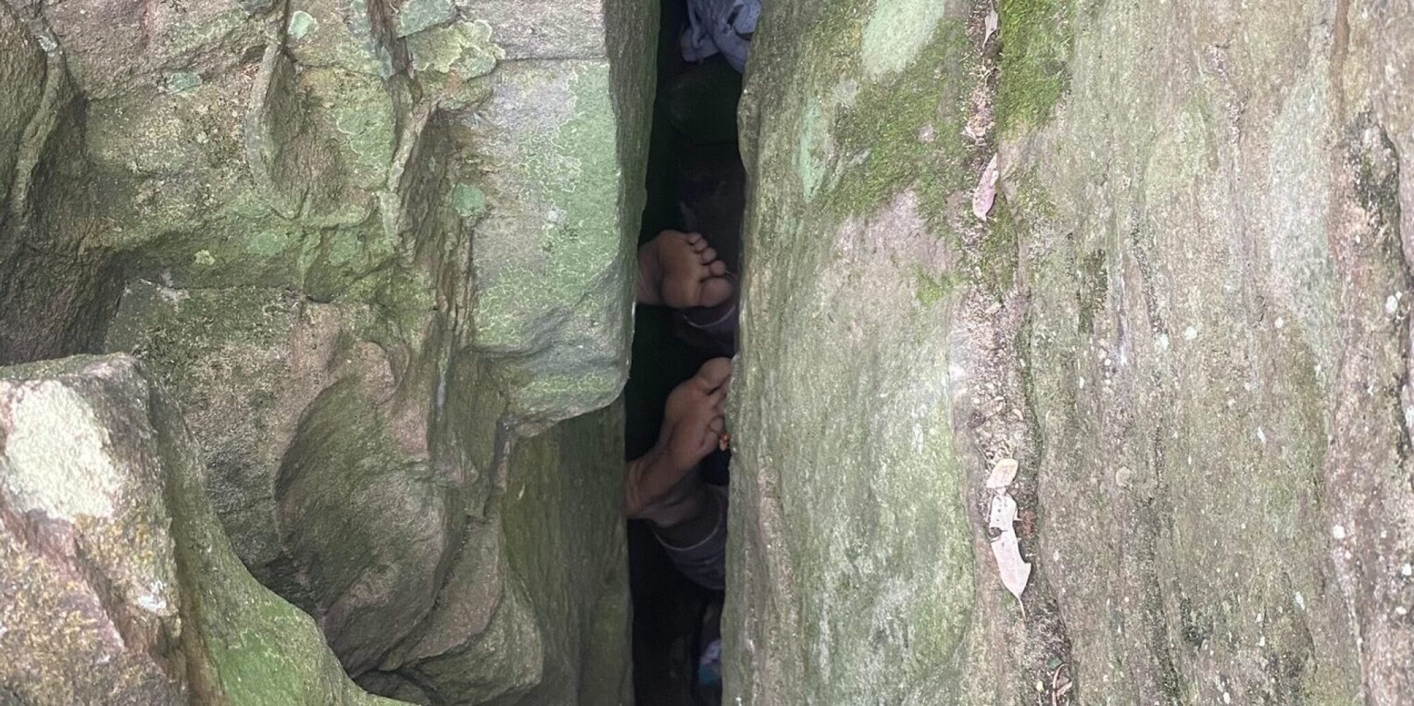 Screenshot-2024-10-22-133908