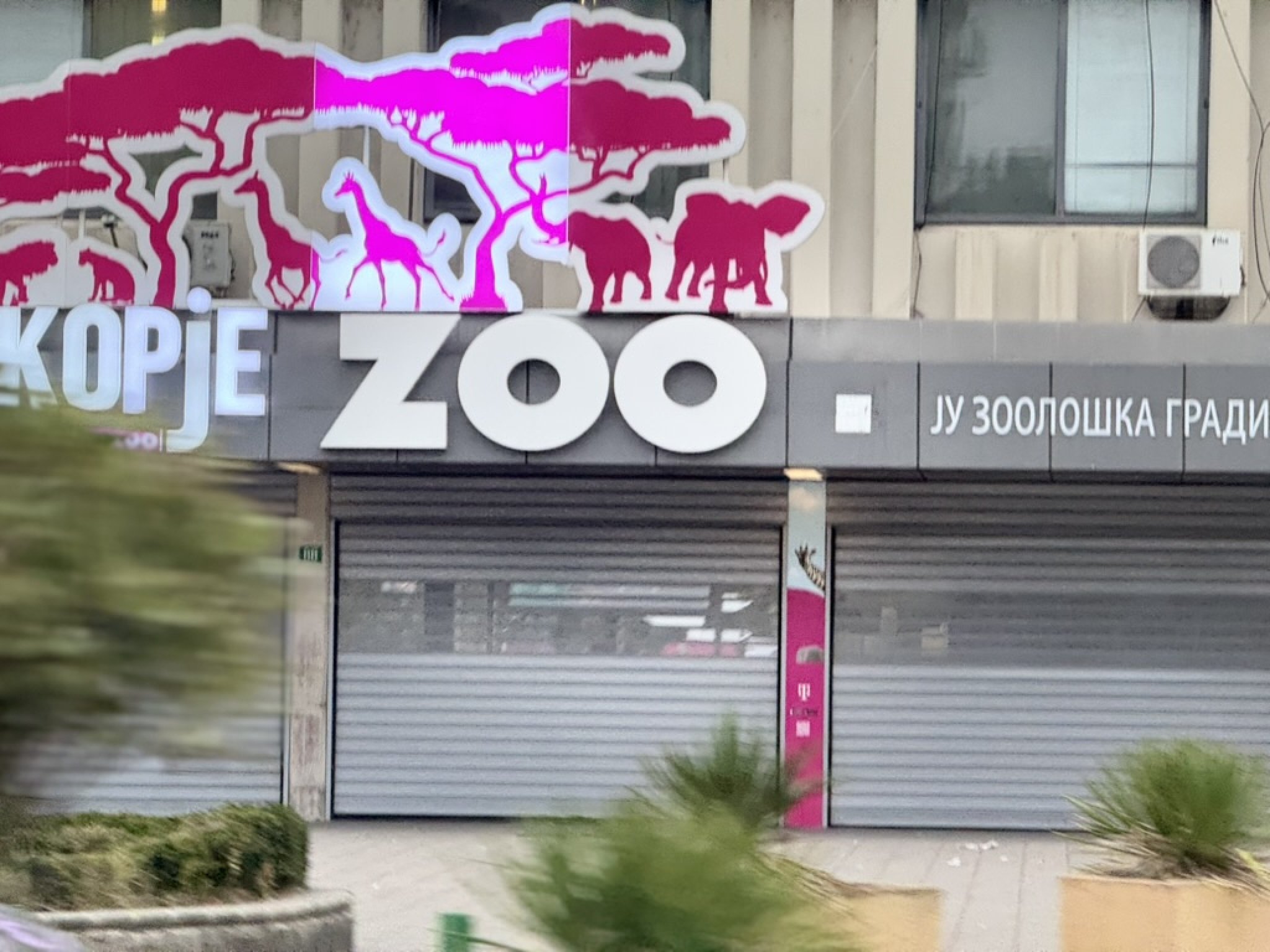 B630A5ED-6BF9-4200-ACFE-74B8D3D5B613_1_105_c