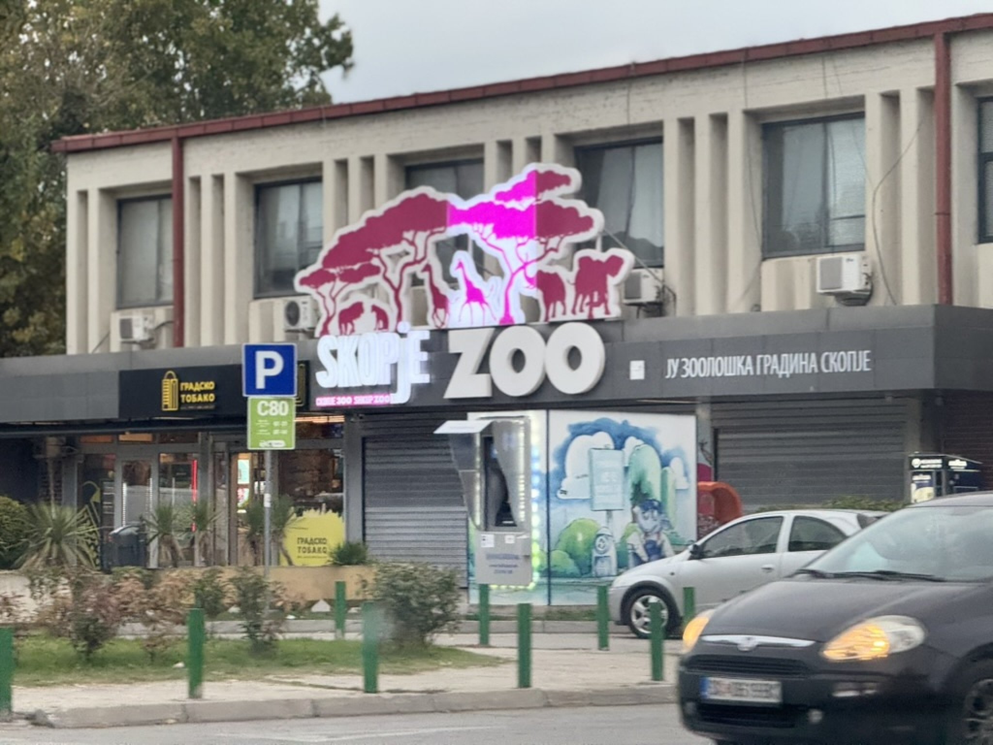 57B15D7B-C699-4722-81D5-A3A2DD3815A0_1_105_c