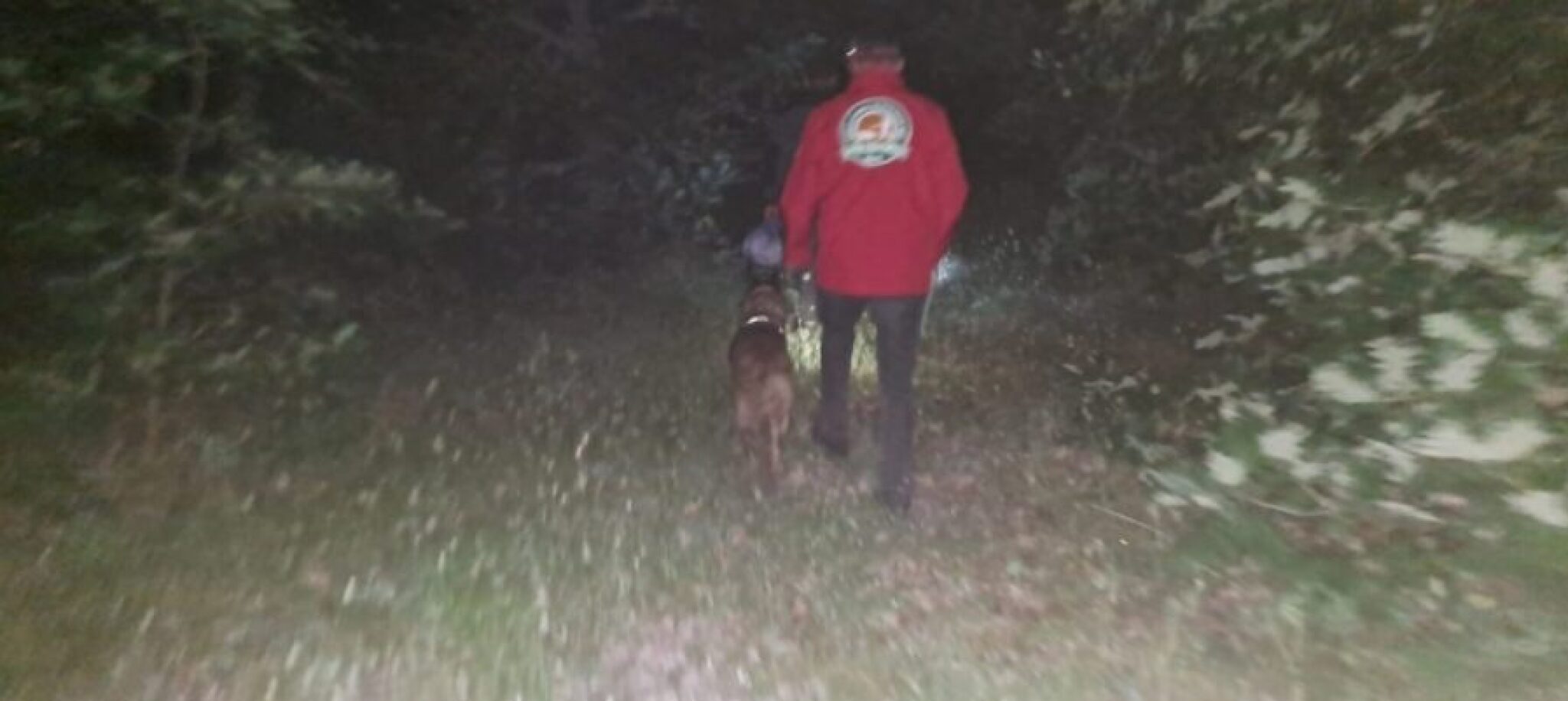 Screenshot-2024-10-22-113141