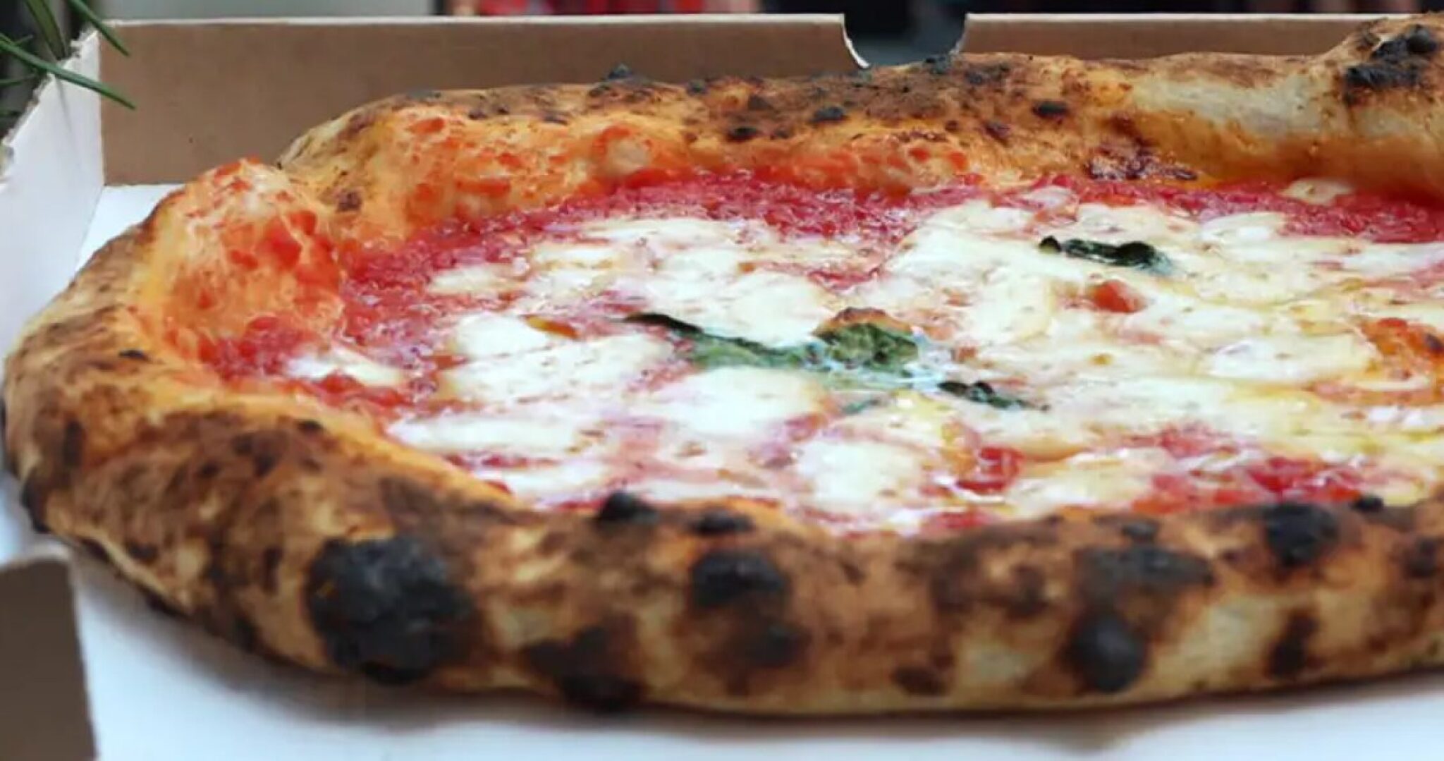 Screenshot-2024-10-22-103755