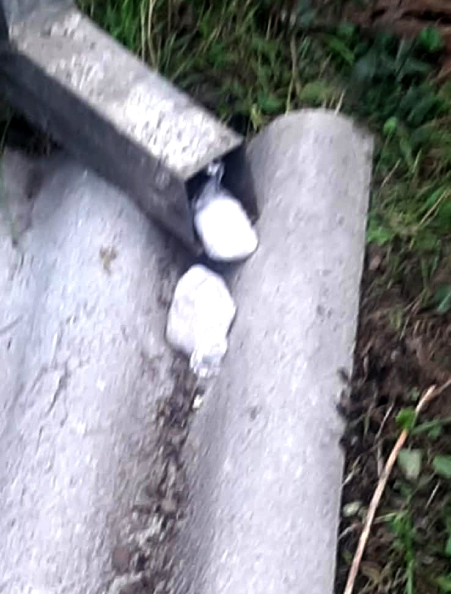 7b03c52f-ff8a-4d7c-89ca-c15459965a31