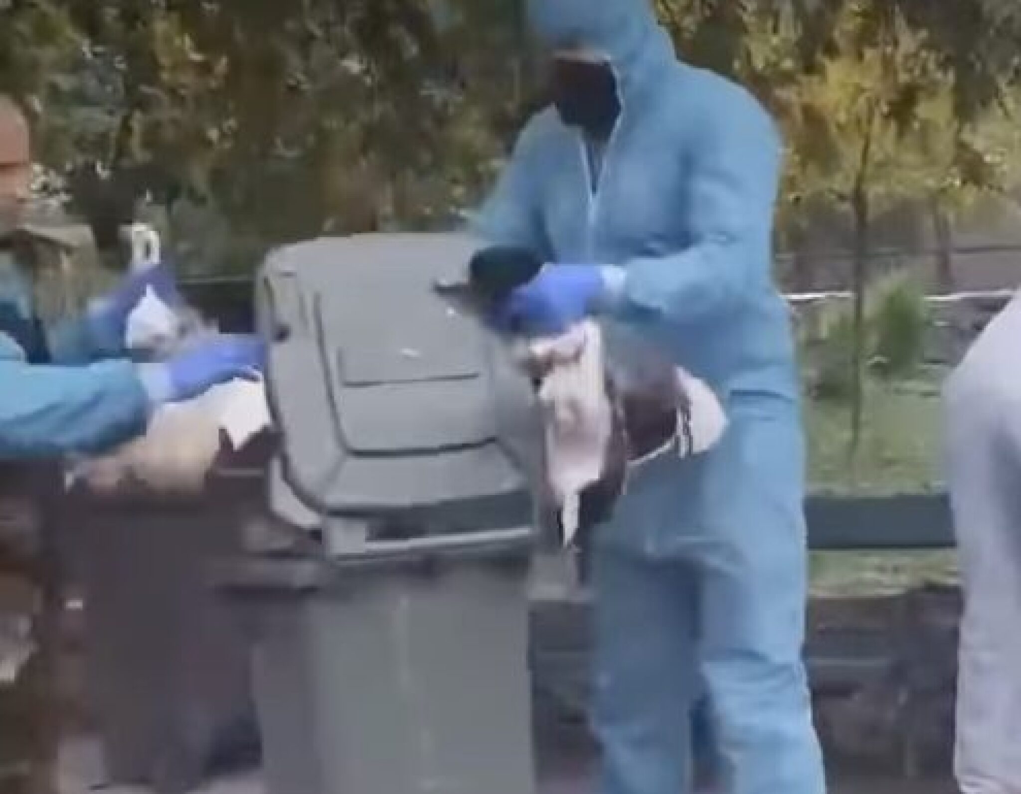 Screenshot-2024-10-20-at-11.22.56