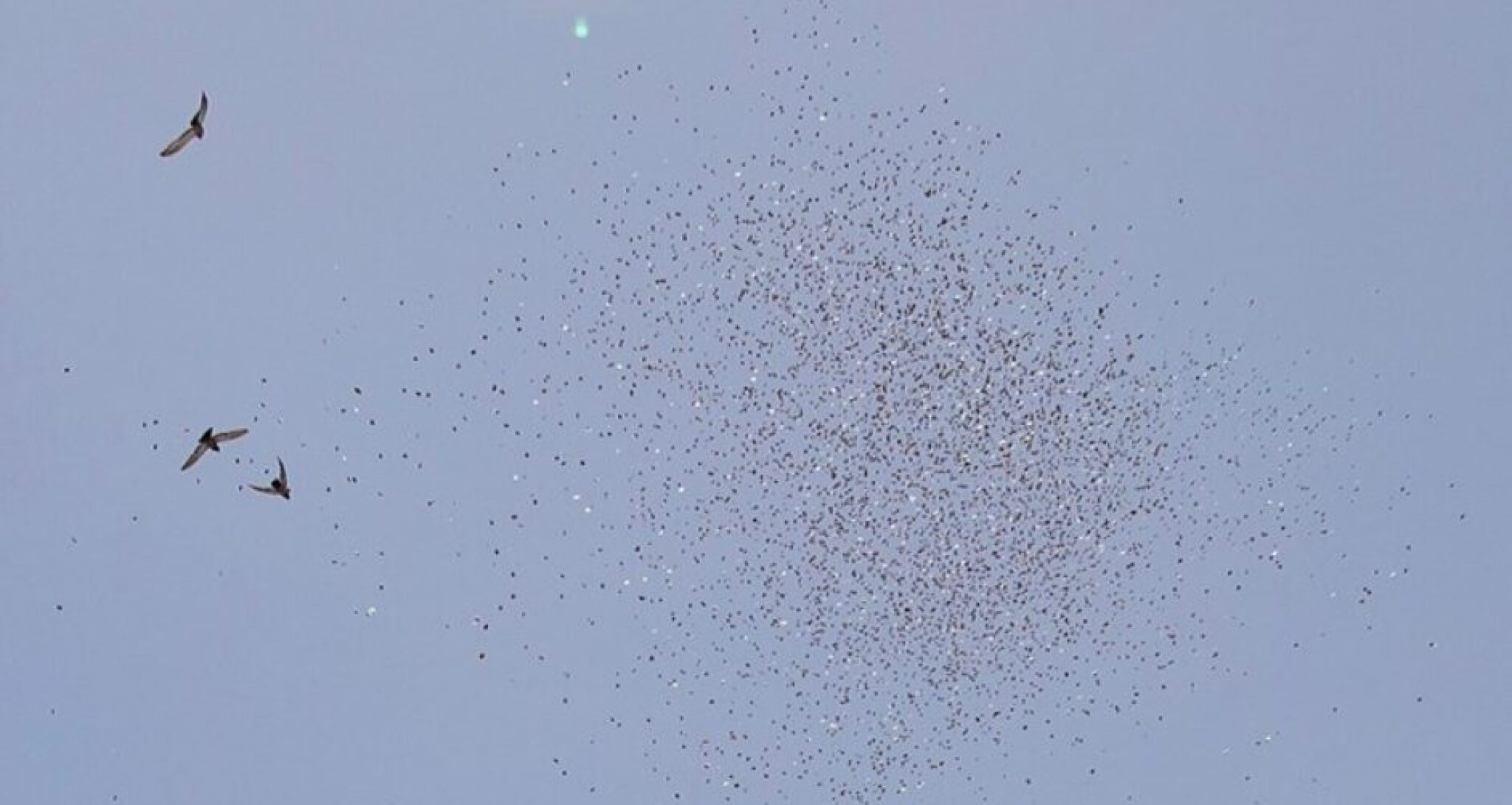 Screenshot-2024-10-19-191242