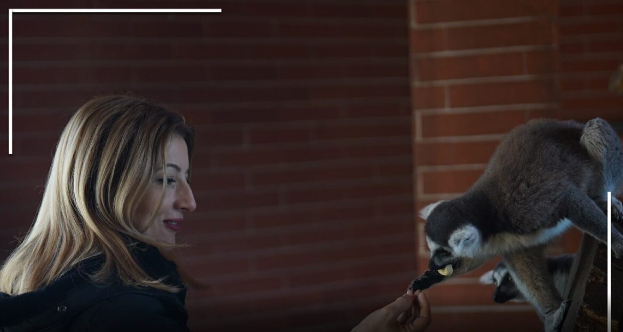 Screenshot-2024-10-19-184146