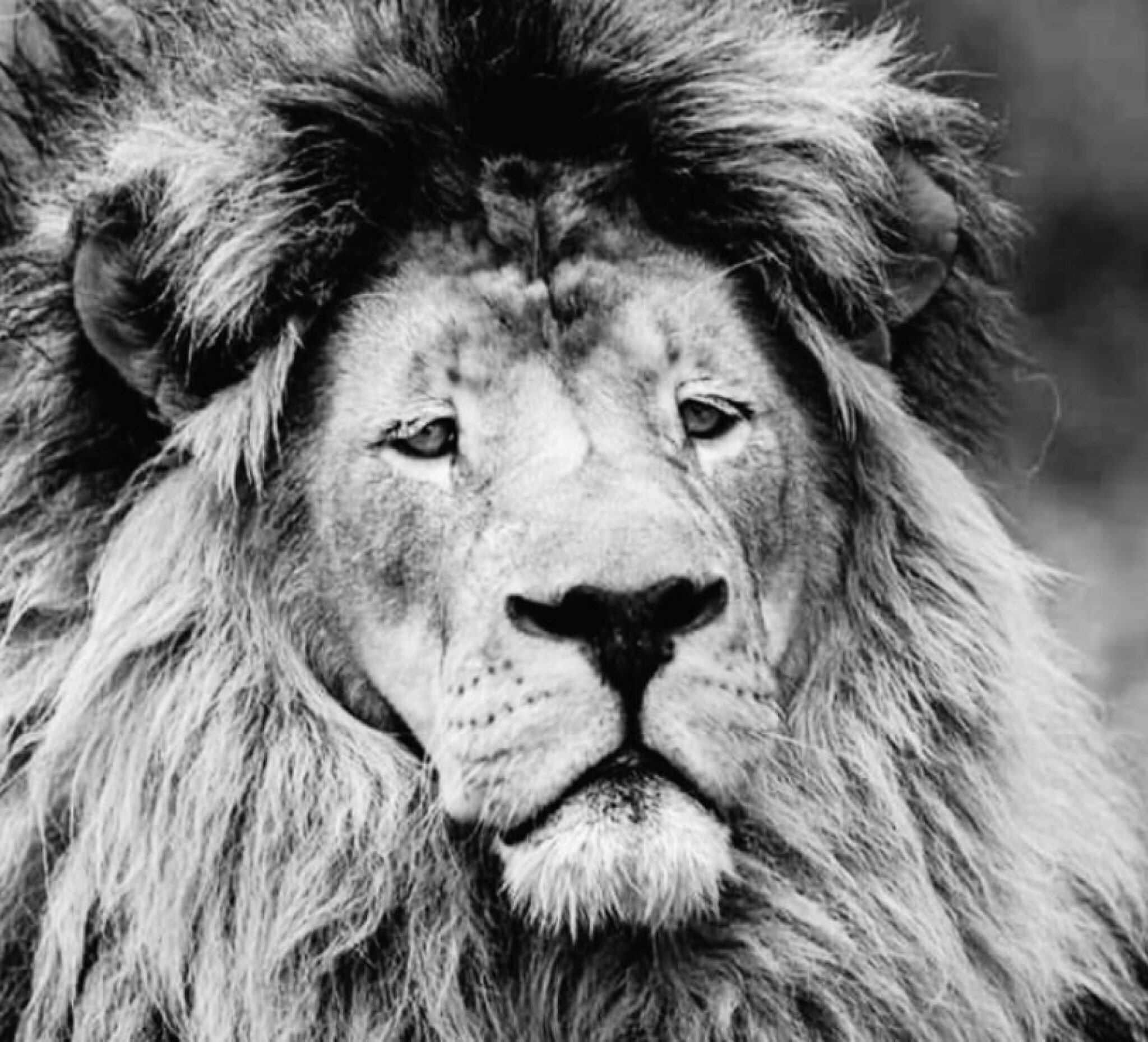 Screenshot-2024-10-15-at-18.26.55