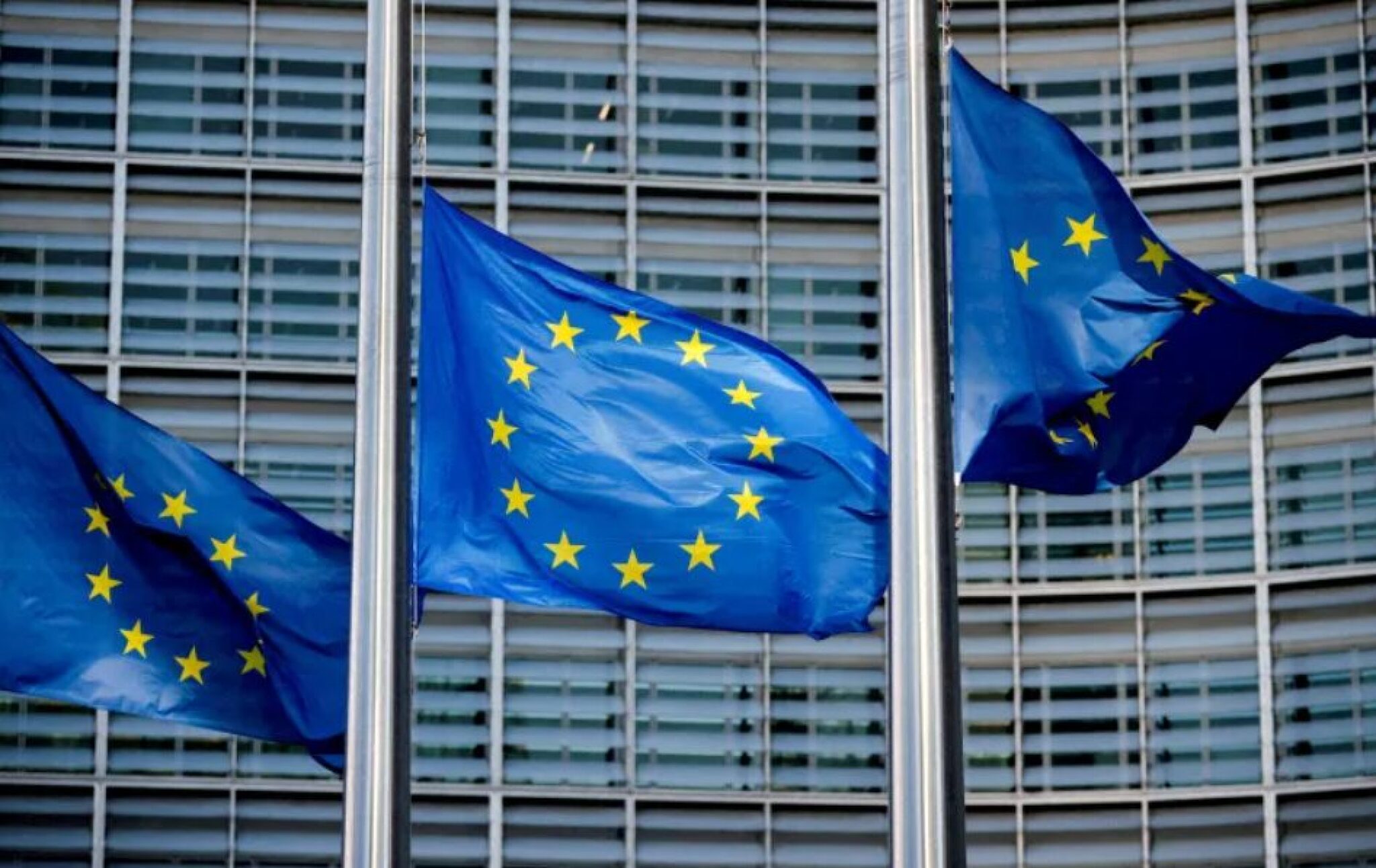 Screenshot-2024-10-15-100320