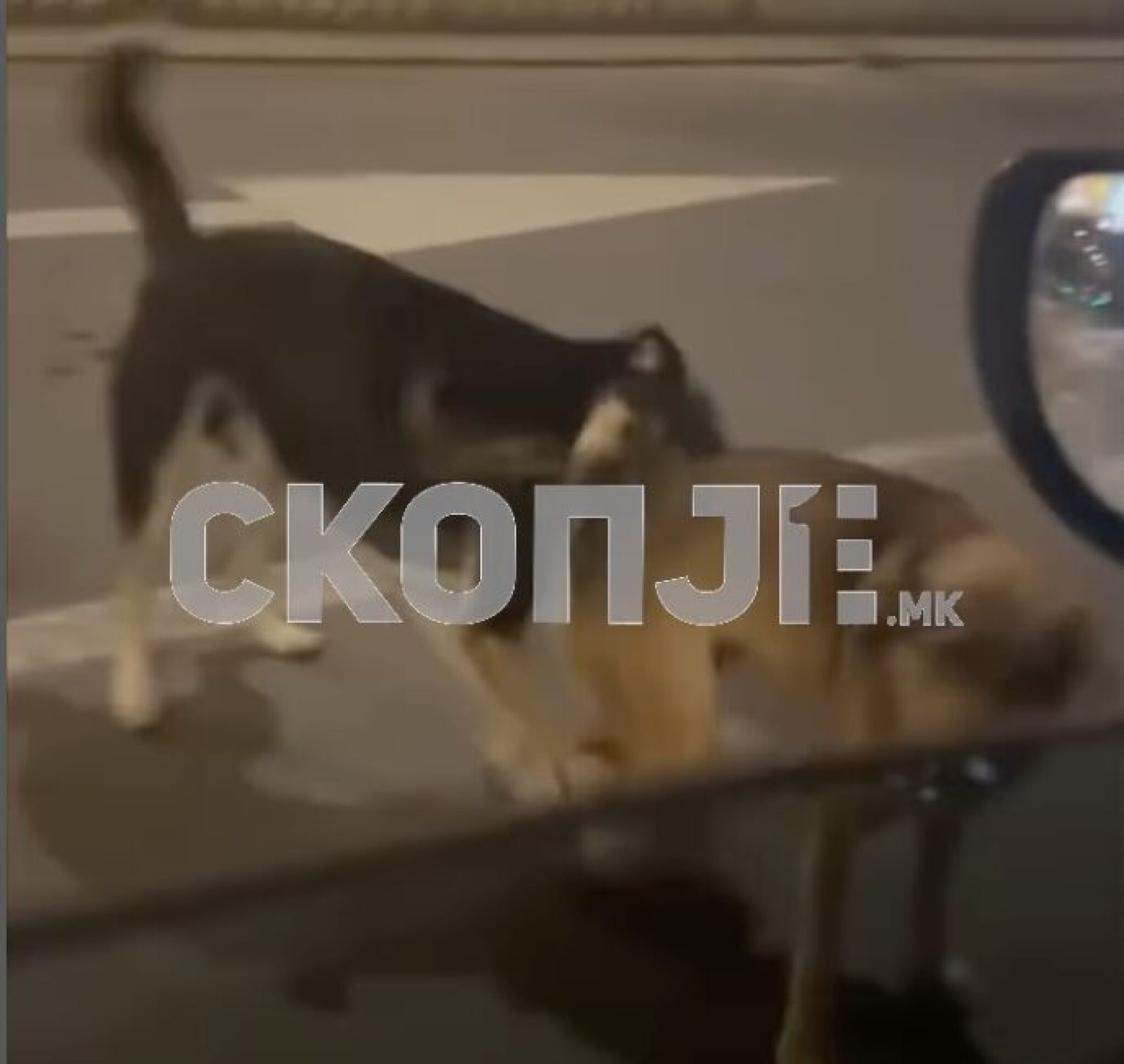 Screenshot-2024-10-10-at-13.10.41