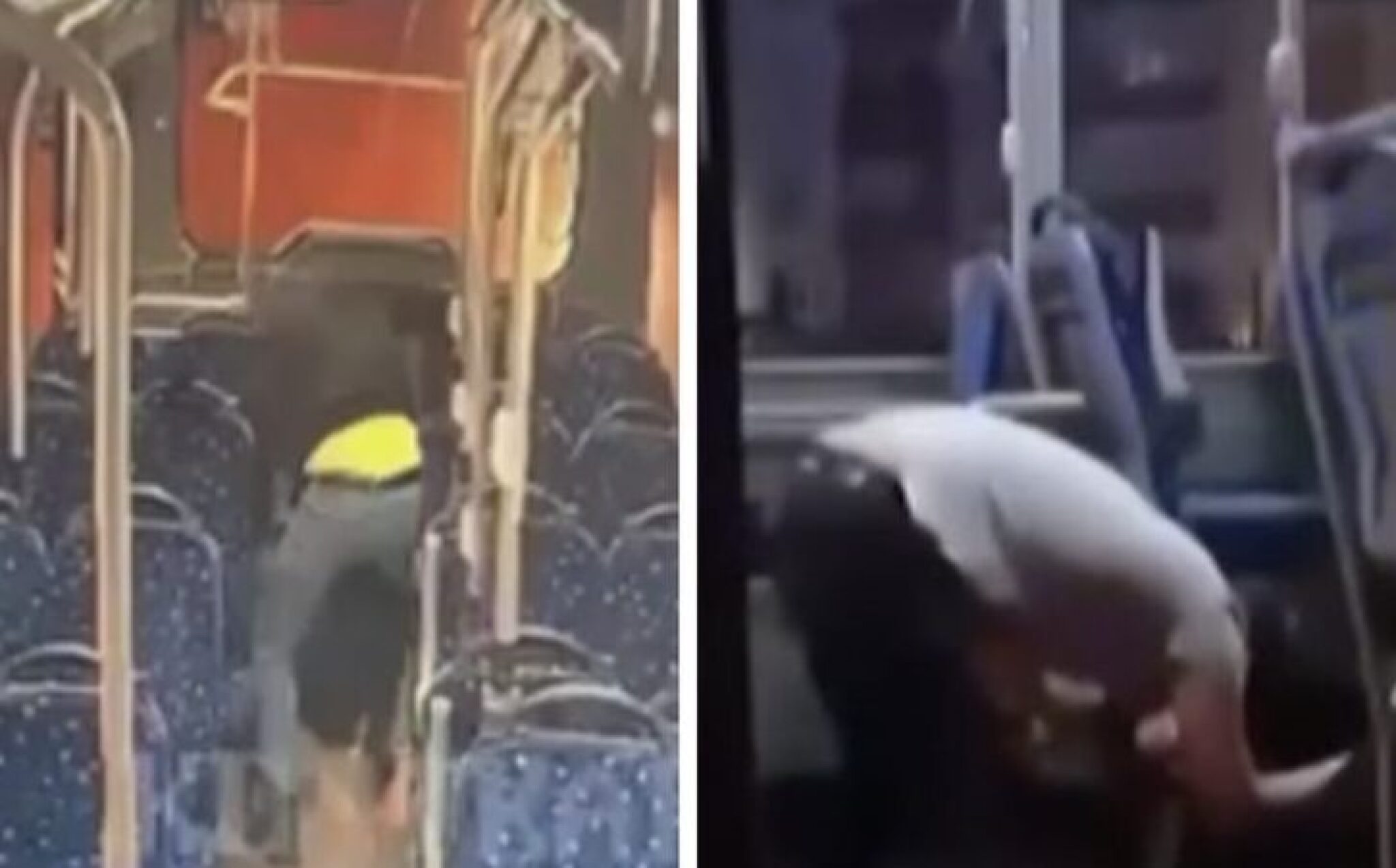 Screenshot-2024-10-10-at-12.24.59