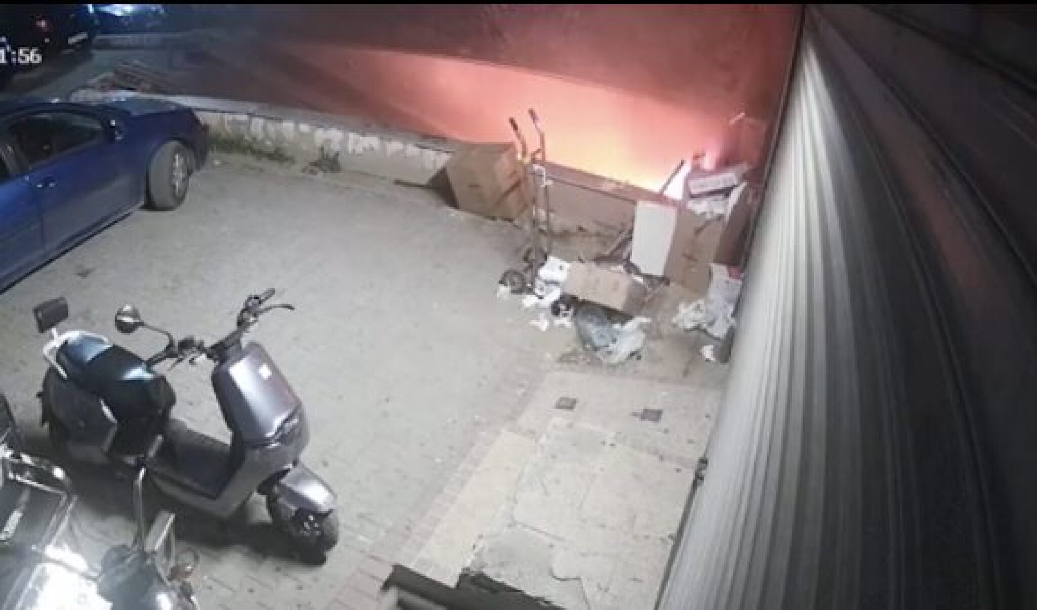 Screenshot-2024-10-07-at-19.38.59