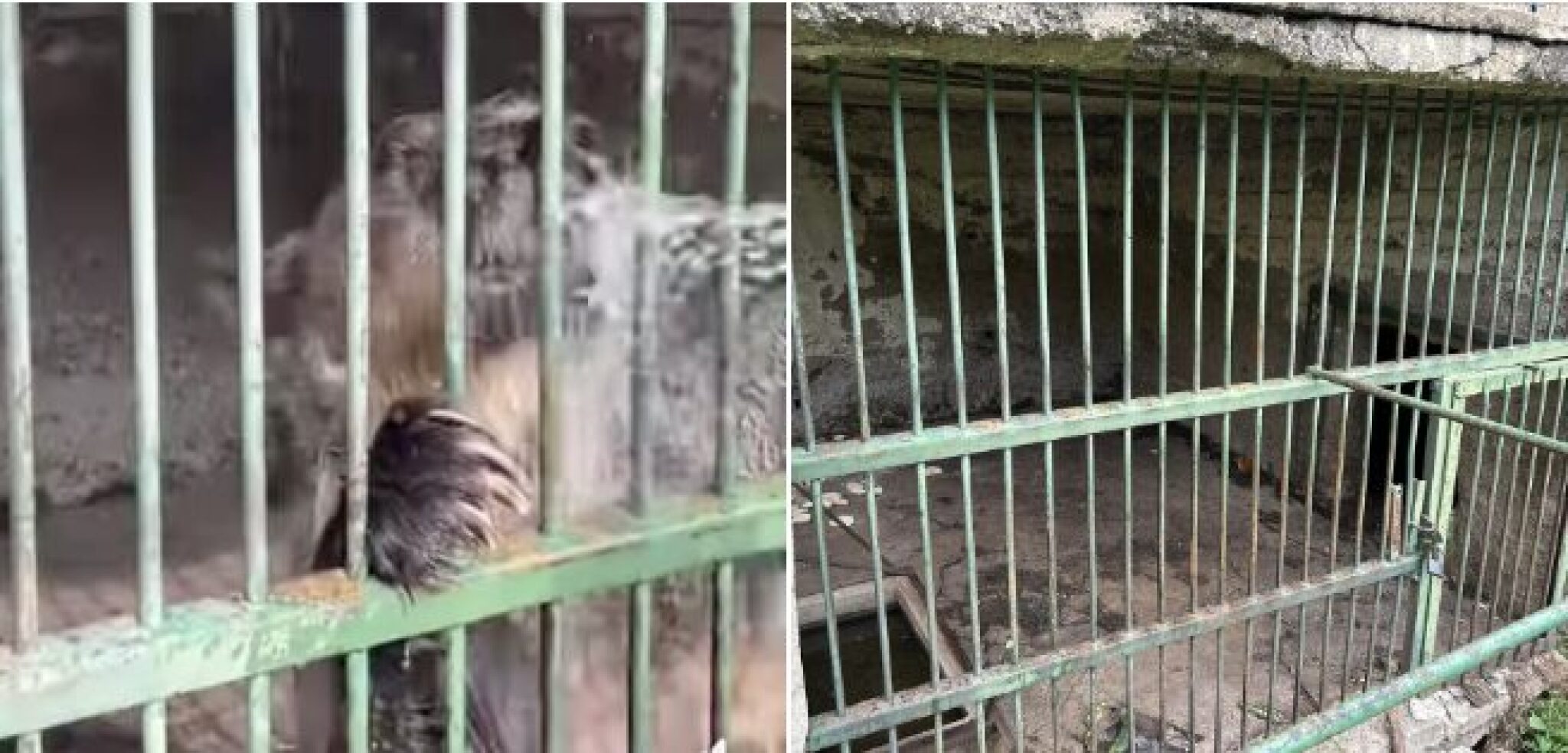 Screenshot-2024-09-17-at-12.04.26