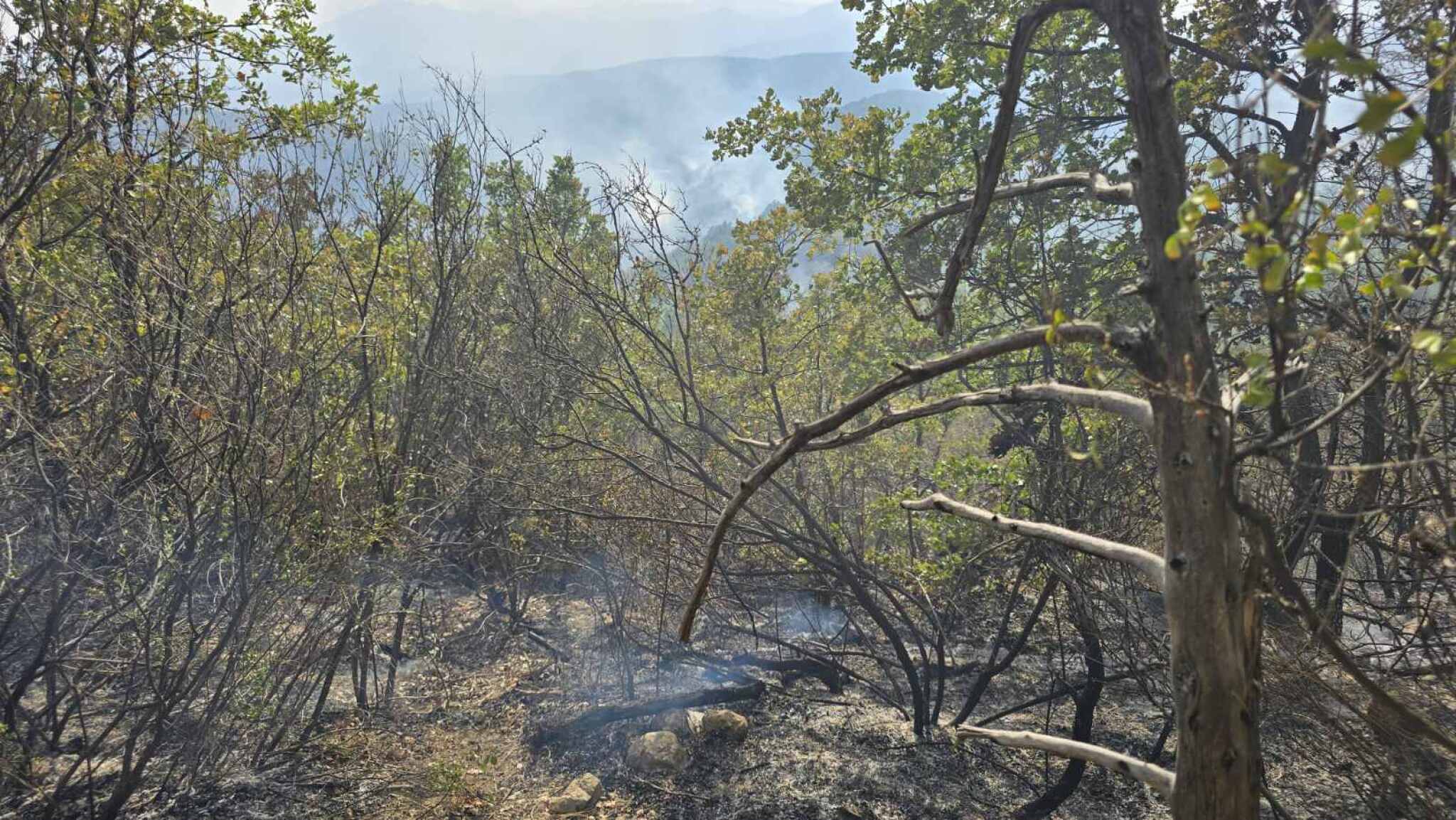 0-02-05-22c9dcfbbc9f978e4bbf99ce9e27b9f7c34d3e7a894dd16d97bef8ed62d08b80_28e8400254e