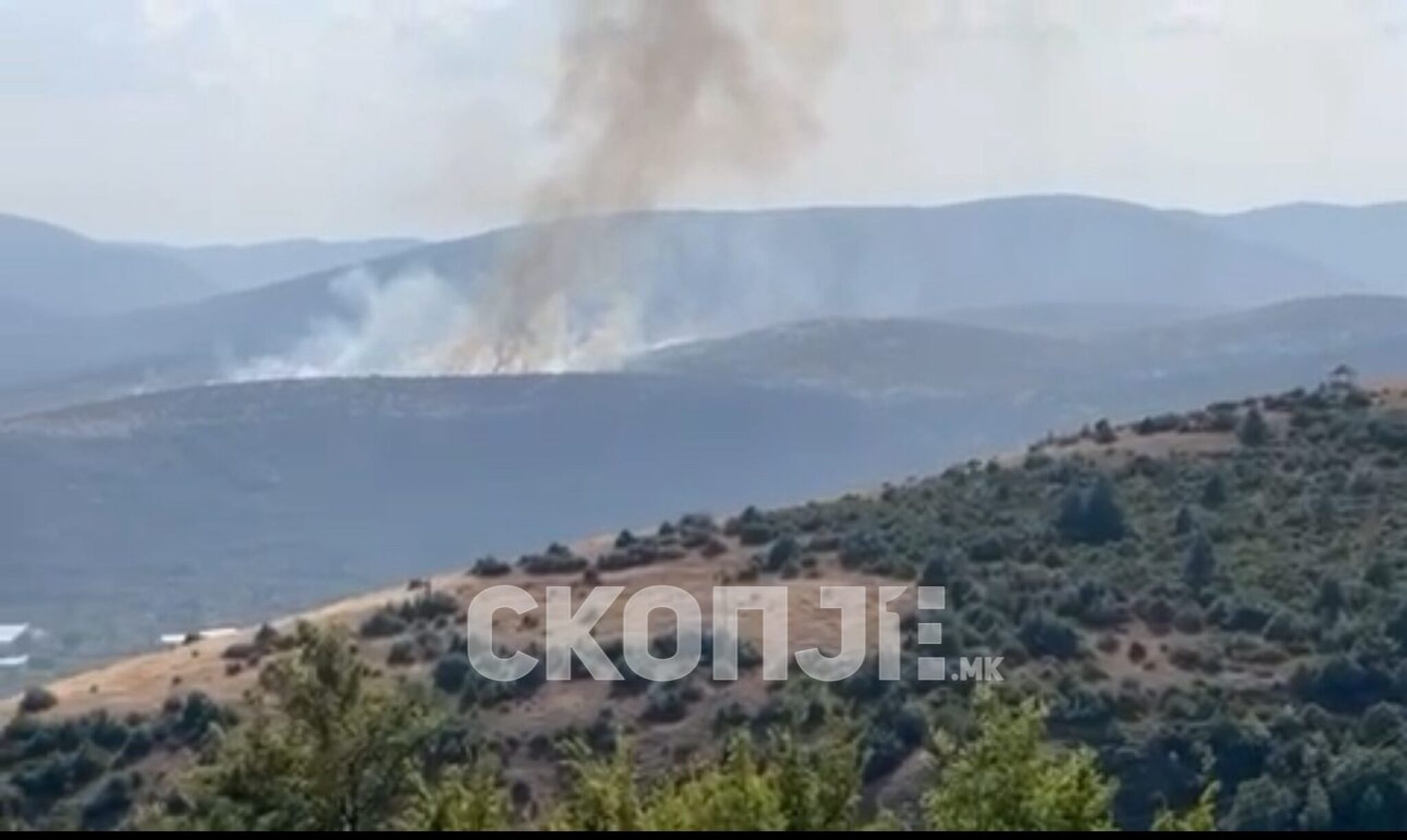 eZy-Watermark_02-09-2024_05-12-44-0010PM