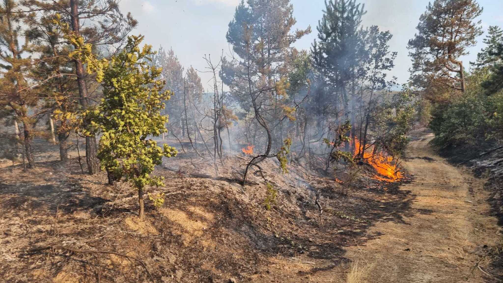 0-02-05-0e90a3fa90edcb4a2193a75ba53b92b64399ce036482991e9755b90a98e399cb_288821b1842