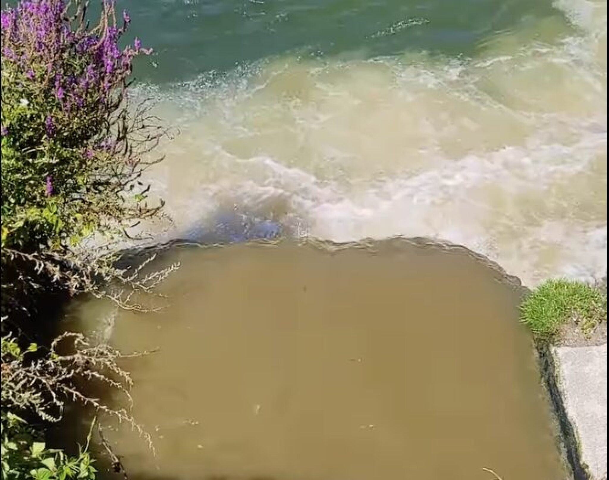 Screenshot-2024-08-12-at-10.05.17