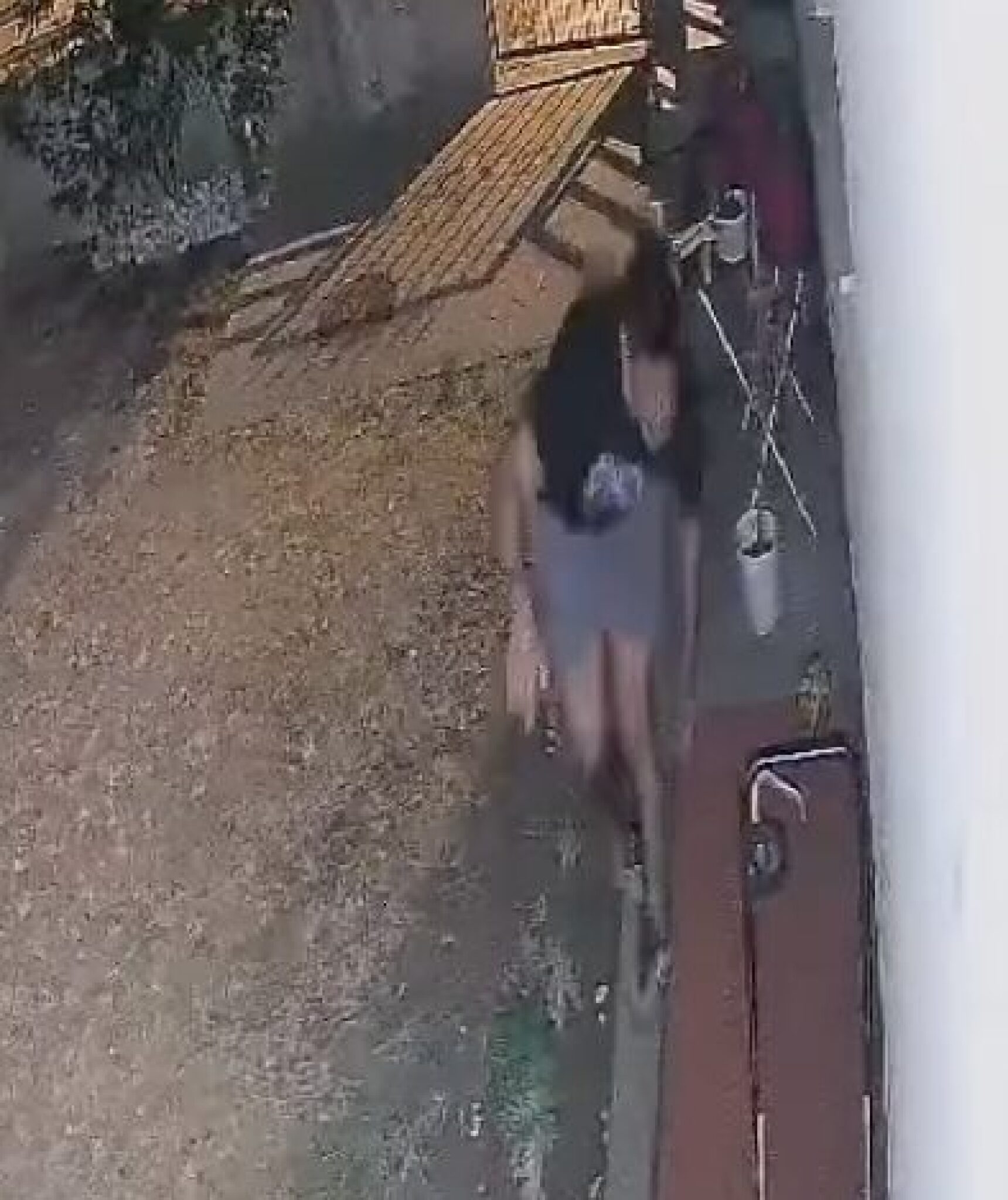 Screenshot-2024-08-09-at-08.52.22