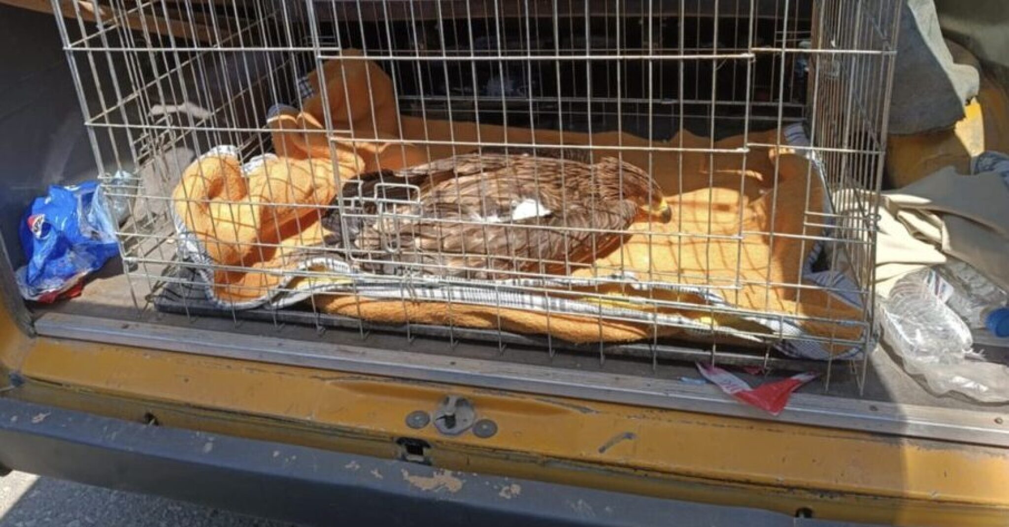 Screenshot-2024-08-08-at-21.15.47