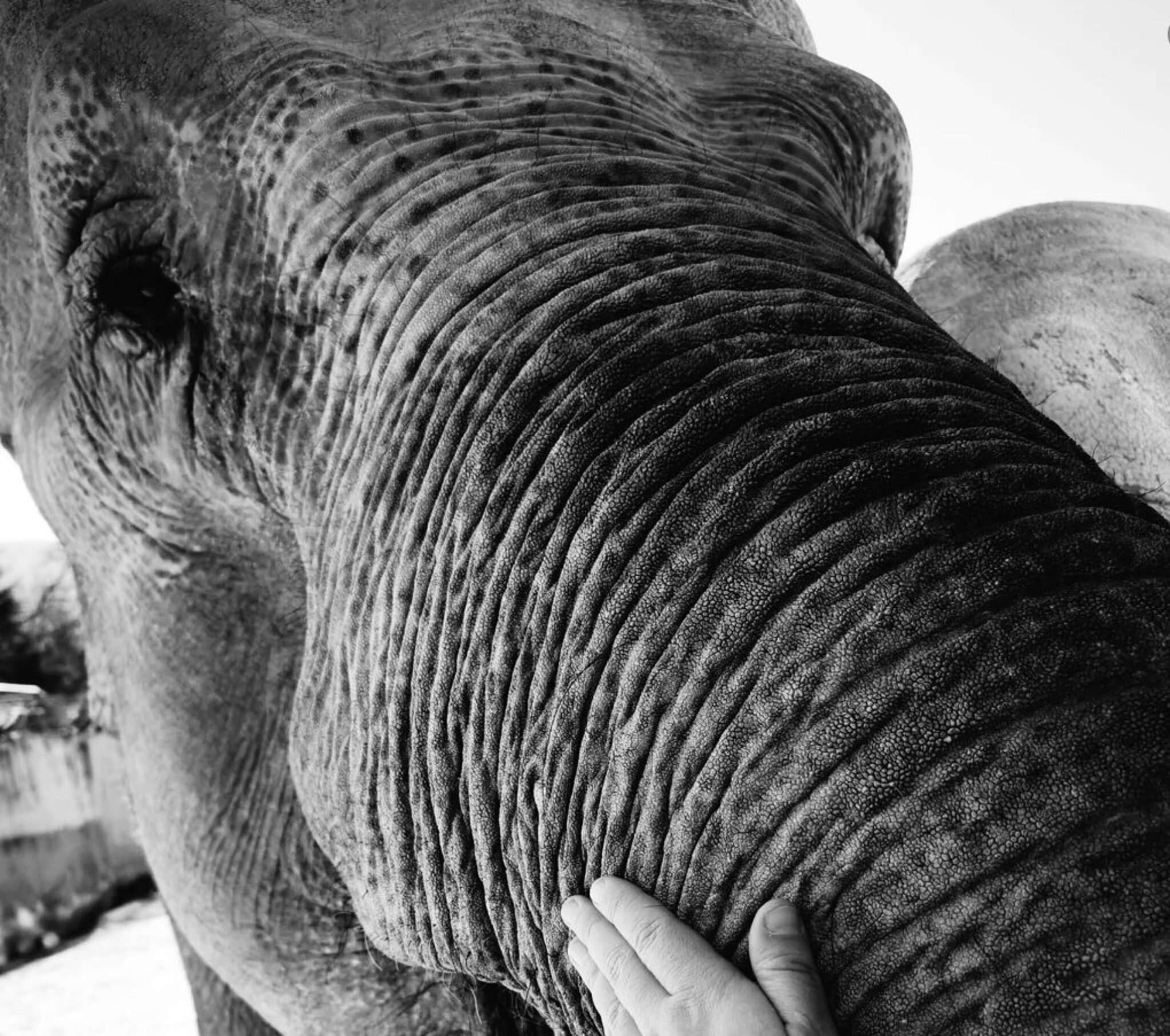 Screenshot-2024-08-07-at-20.44.24