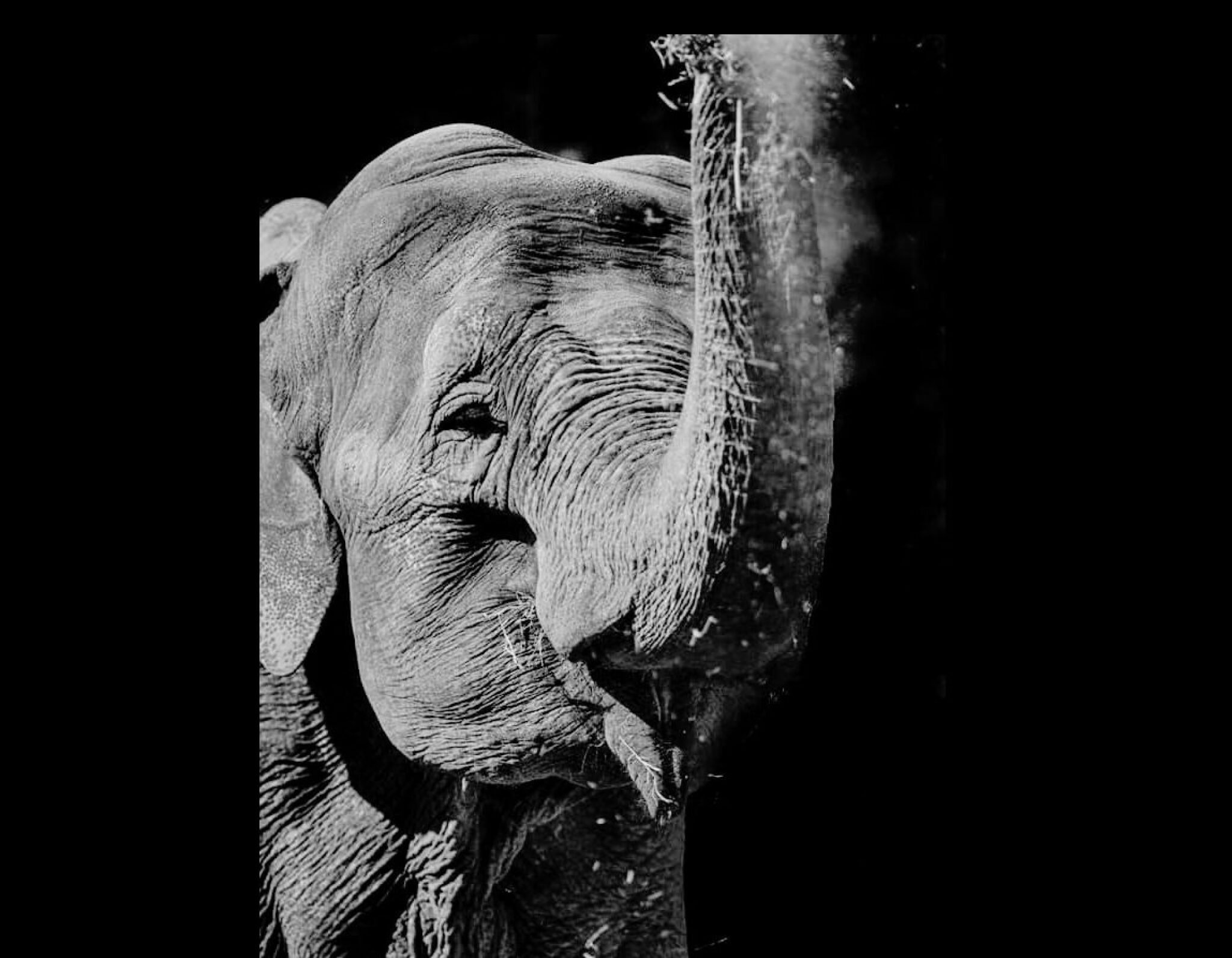 Screenshot-2024-08-07-at-14.56.13