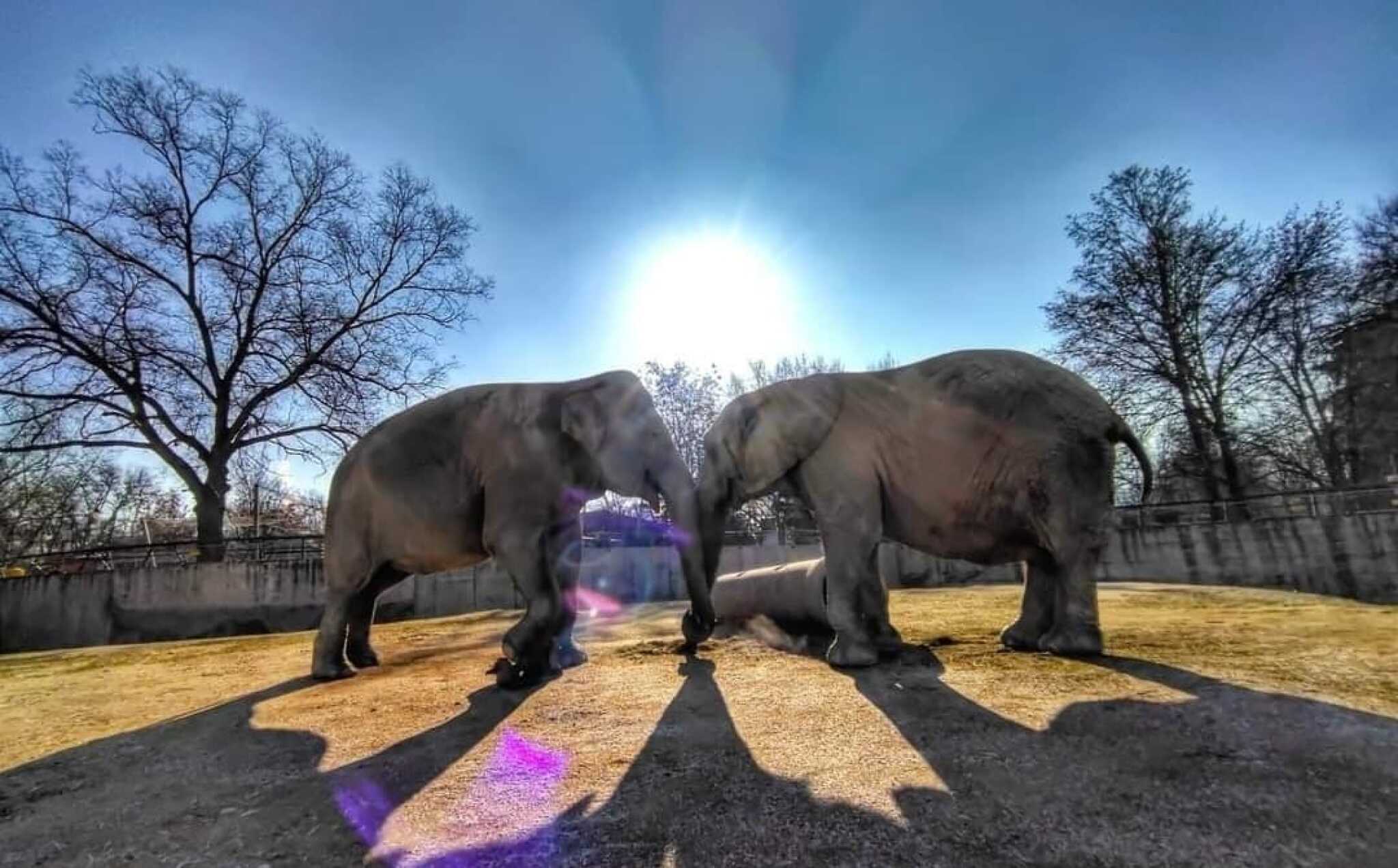 454493738_8236496723079522_6023687363494536903_n