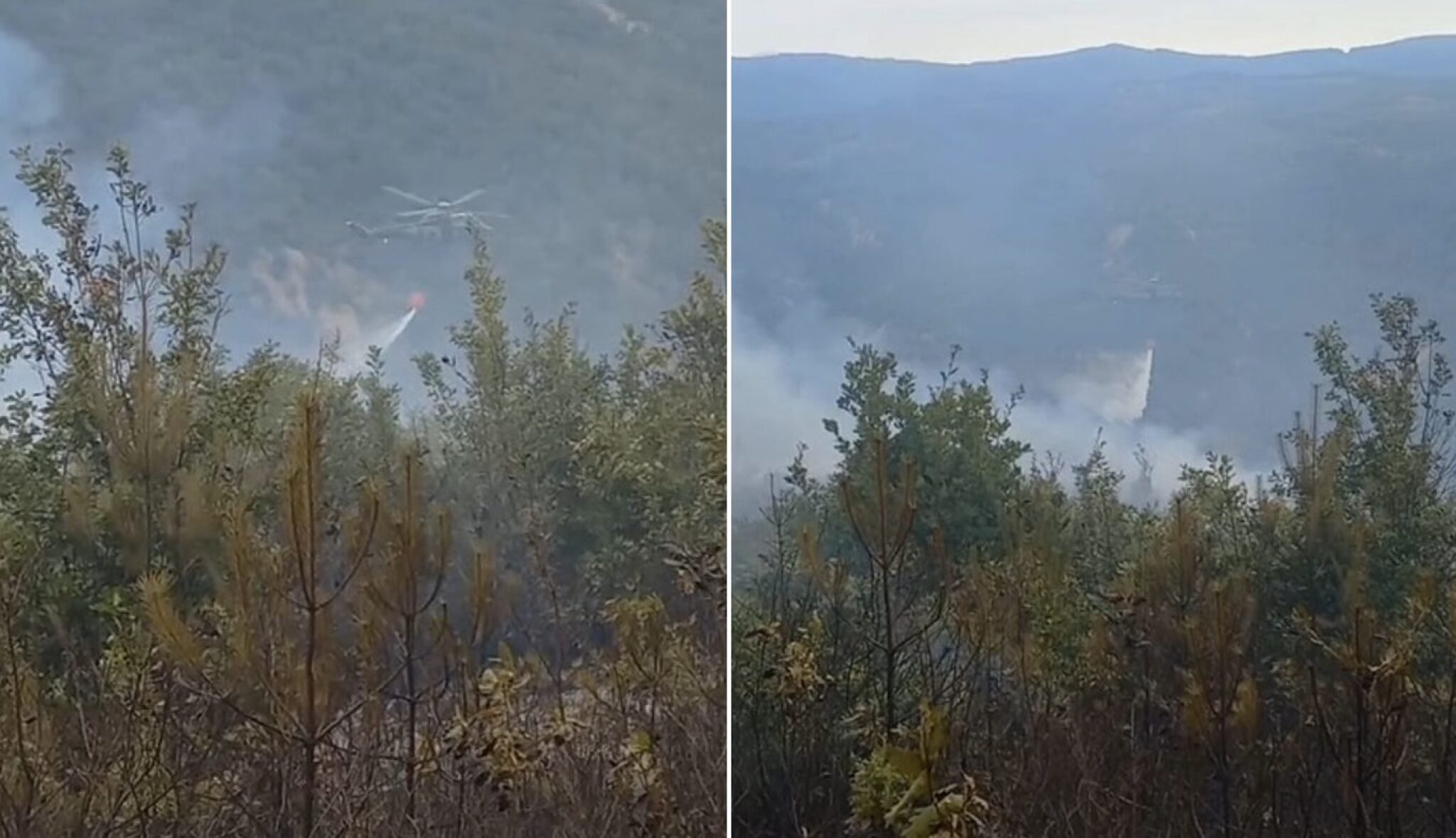 Screenshot-2024-08-05-at-09.25.49