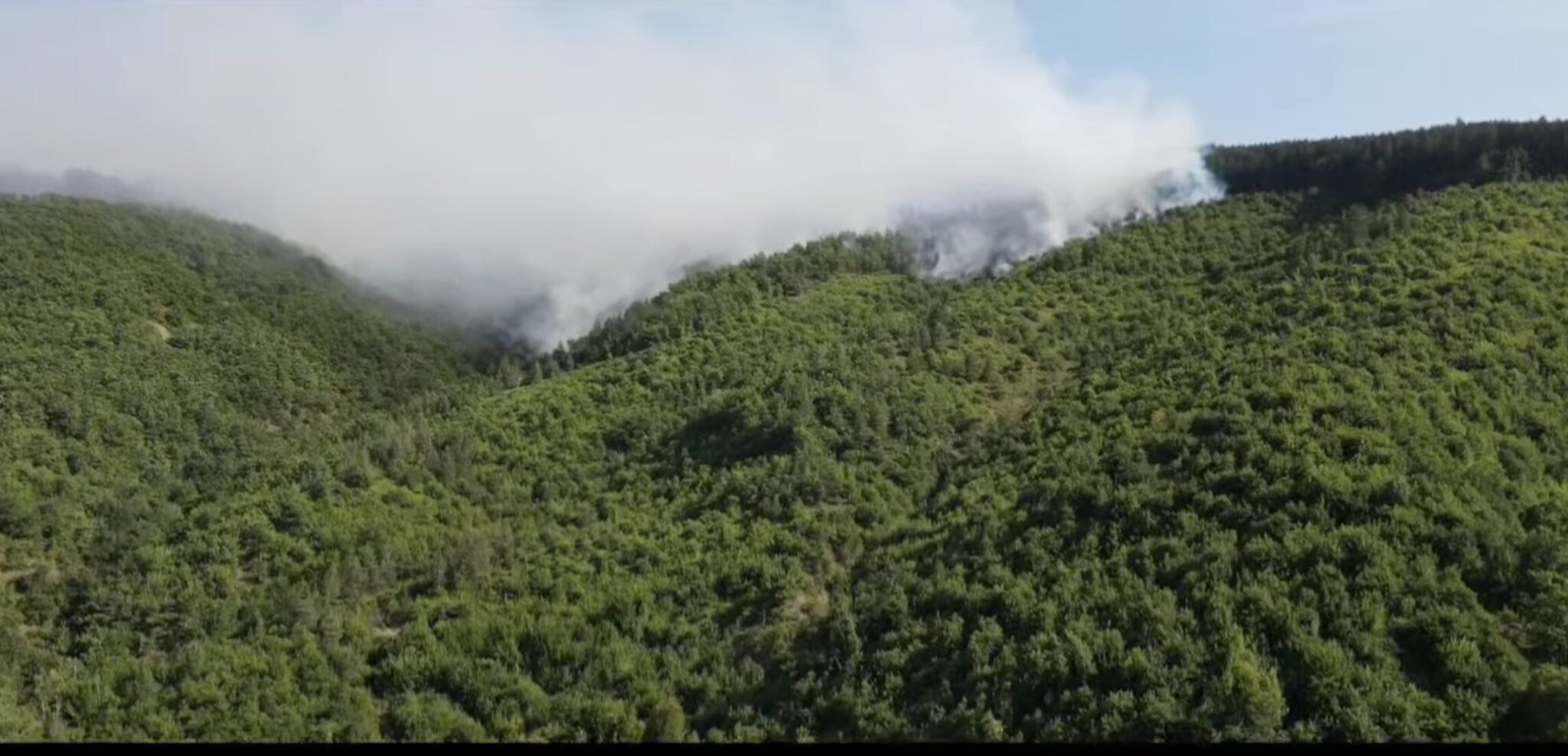 Screenshot-2024-08-04-at-09.52.01