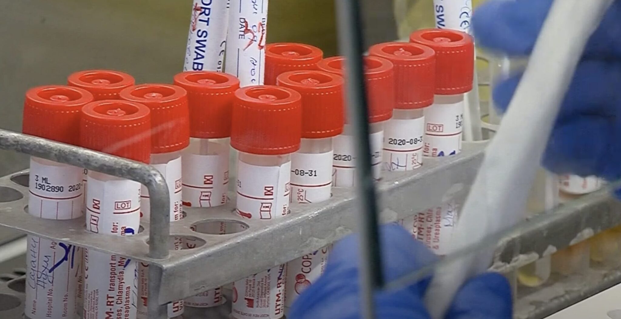 Screenshot-2024-08-01-at-11.35.22