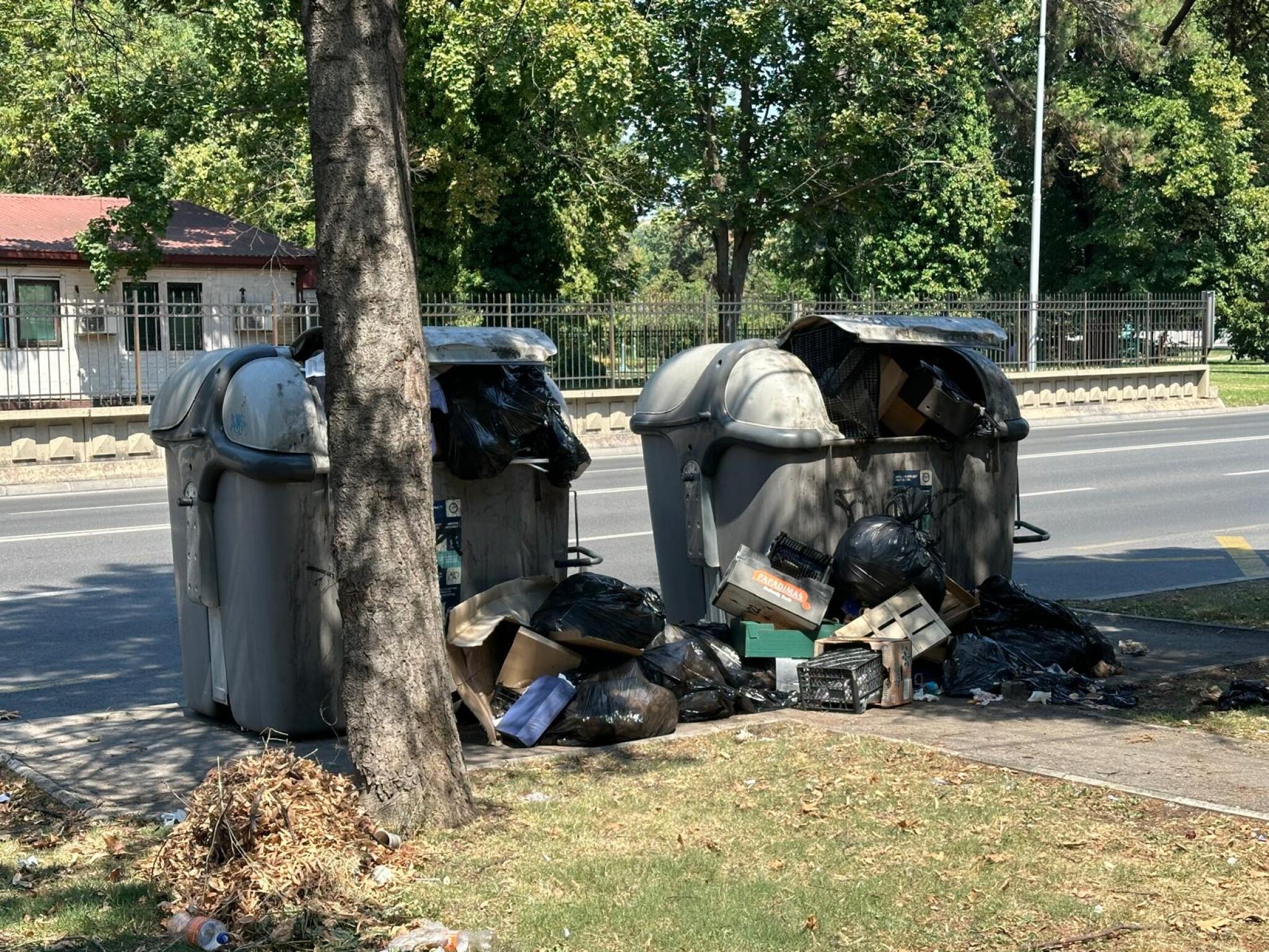 WhatsApp-Image-2024-07-15-at-15.07.29