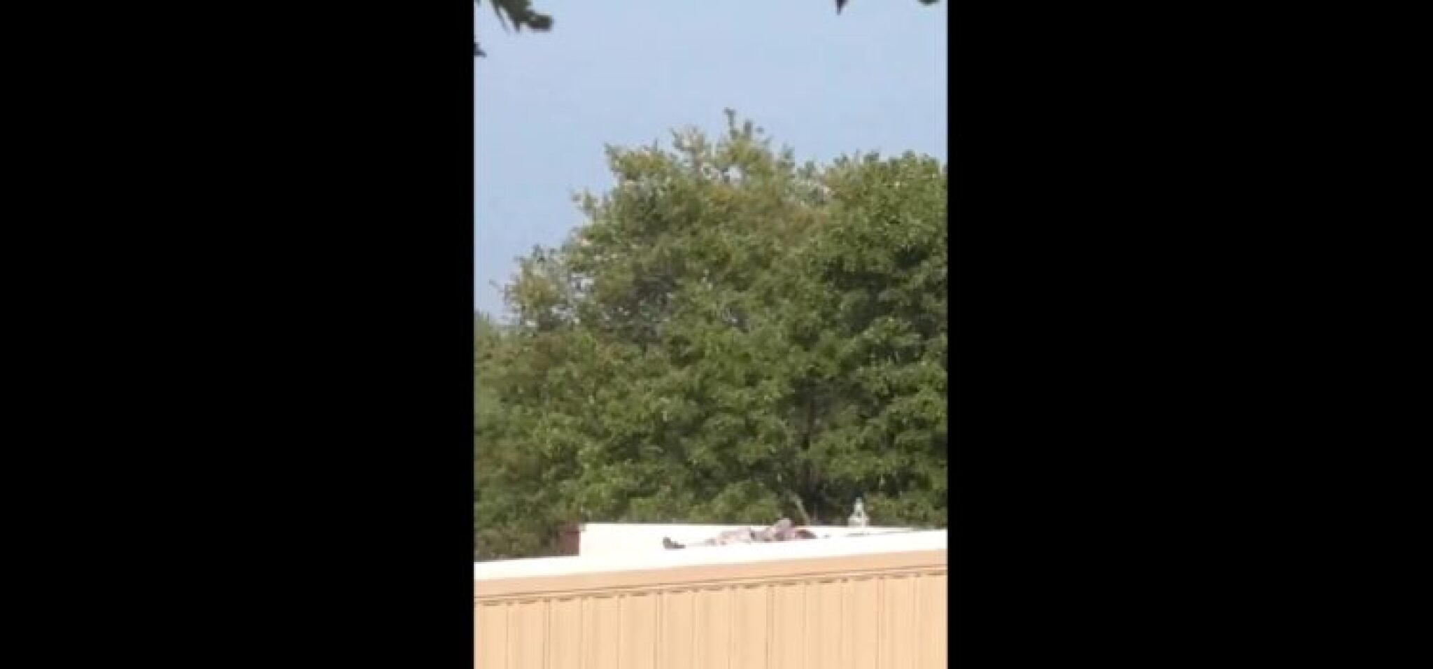 1720940030-Tramp-750x350-1