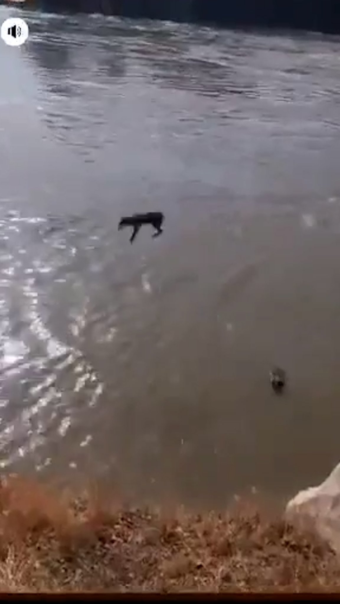 Sequence-04.00_05_20_21.Still001