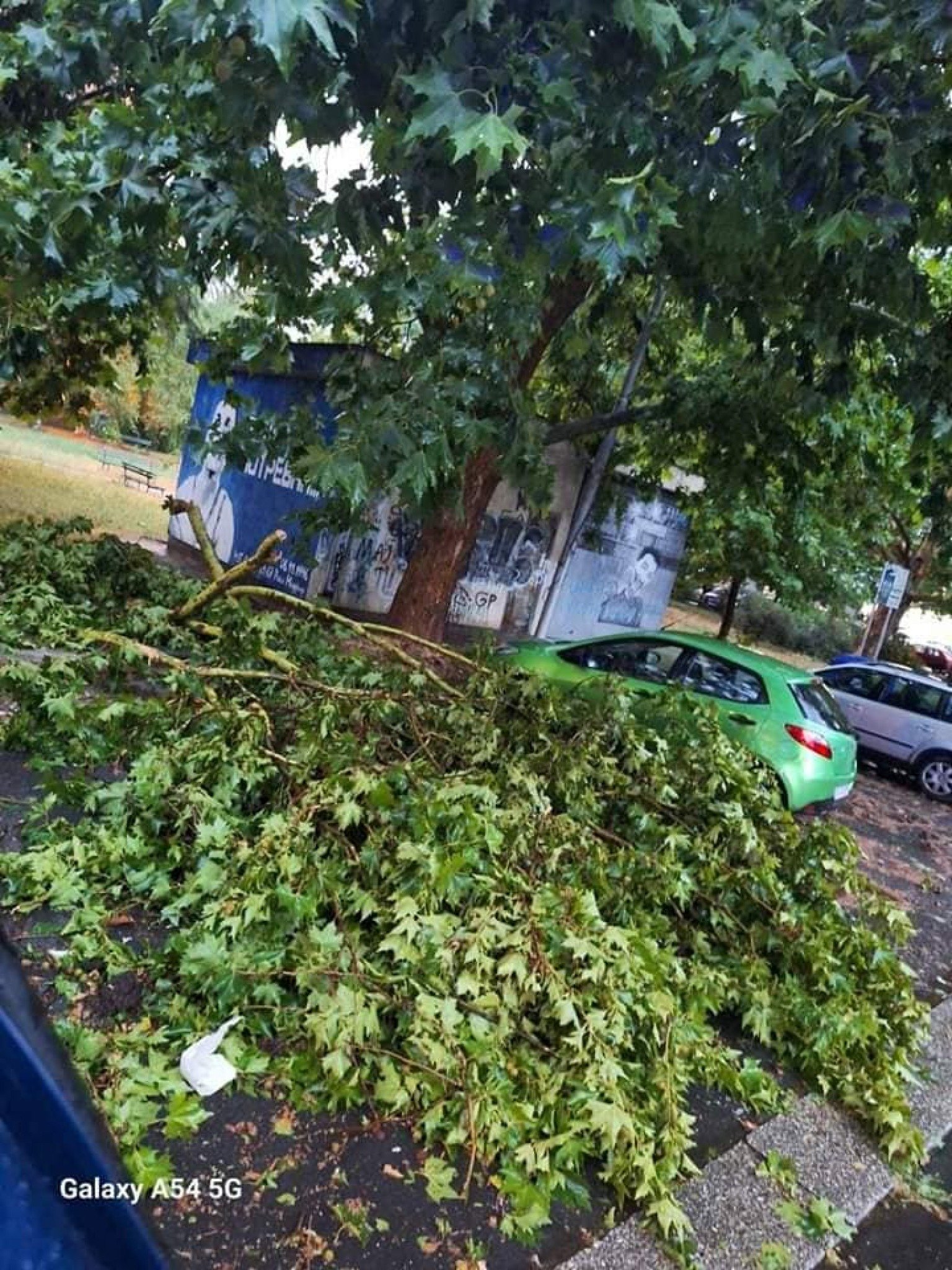 448903945_450123244443618_4576738011007797344_n