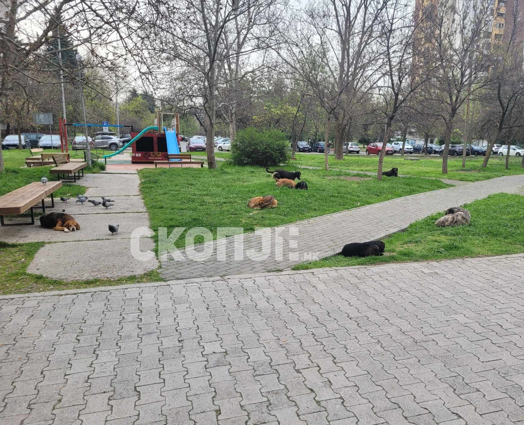 59e54beb-a9f0-484c-b888-a606a02da876