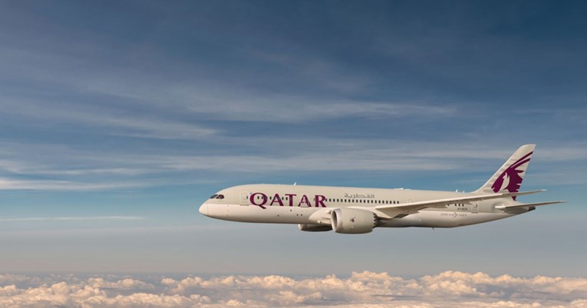 529fb552-2e6f-46f1-8698-0012d2ef6817