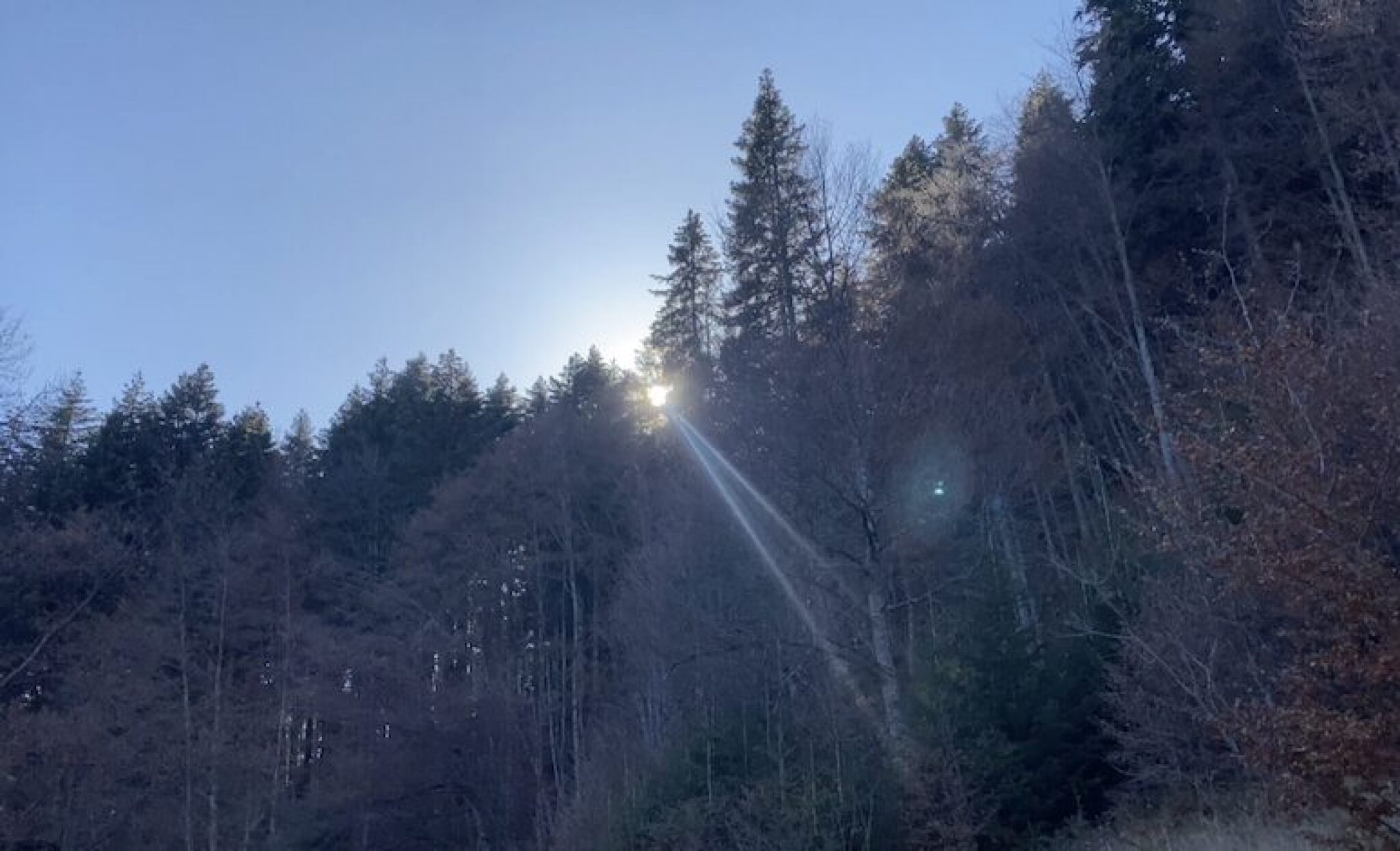 Screenshot-2024-05-12-at-19.06.12