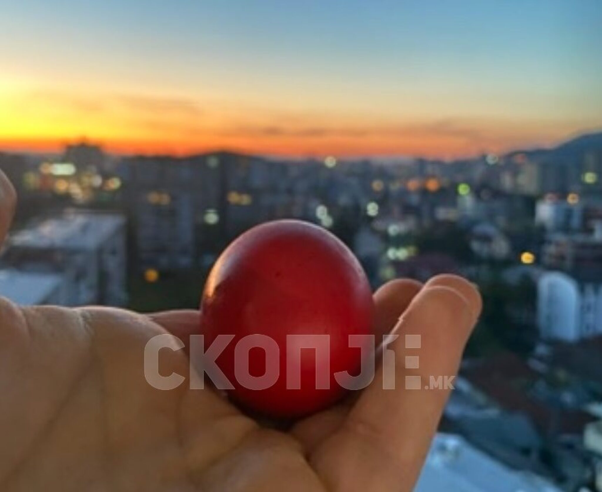 Screenshot-2024-05-04-at-09.01.50