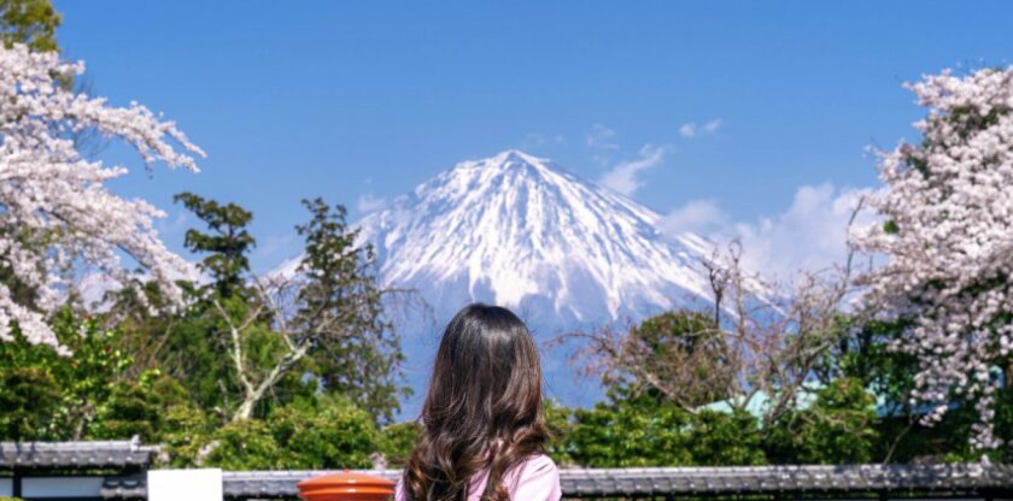 Screenshot-2024-05-04-at-08.05.56