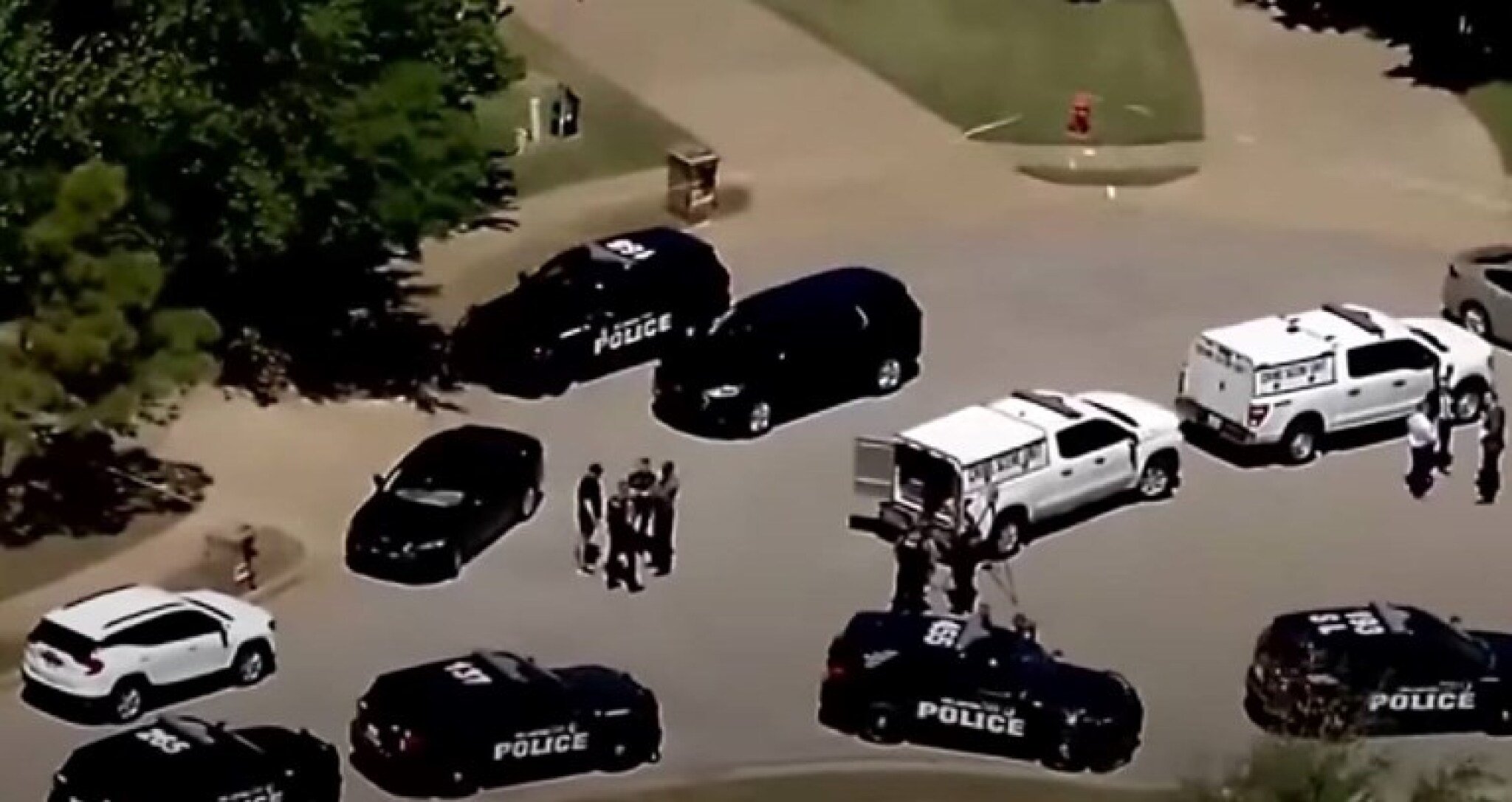 244f9847-fe3d-4859-ba0d-63a2e3300be7