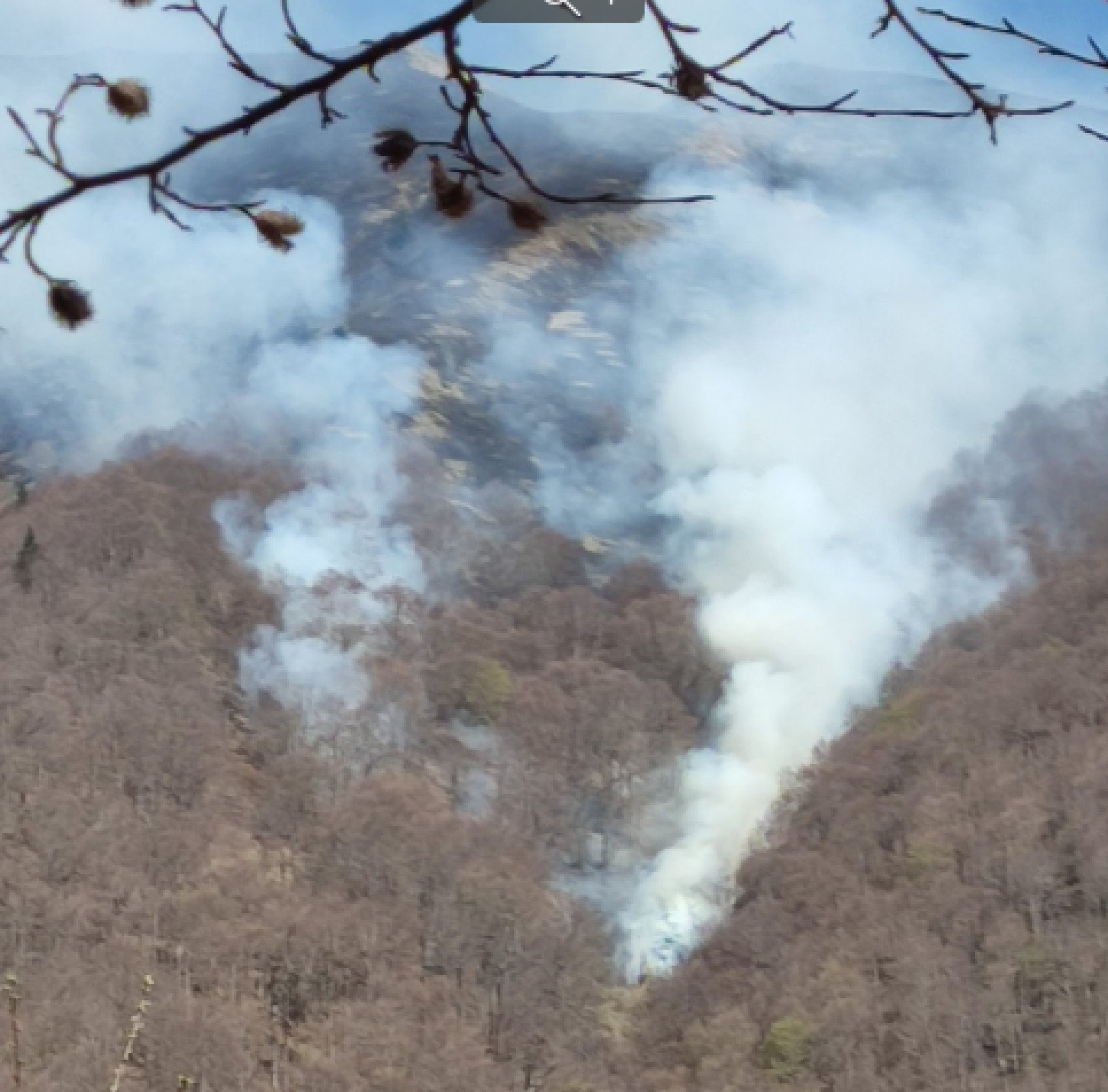 Screenshot-2024-04-13-at-13.30.11