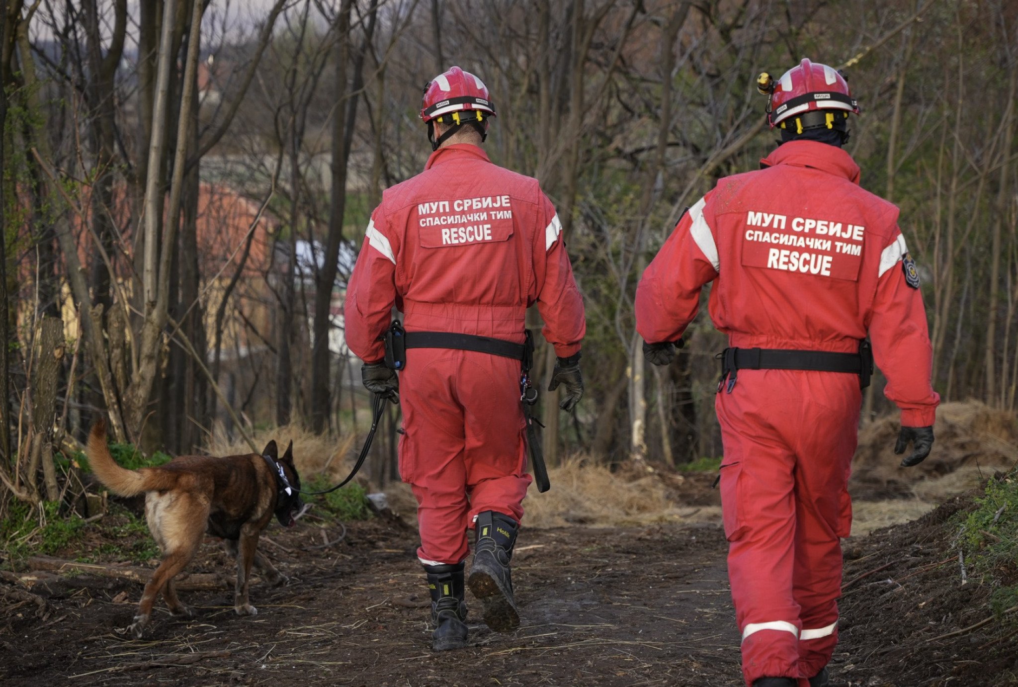 Screenshot-2024-03-29-at-09.19.16