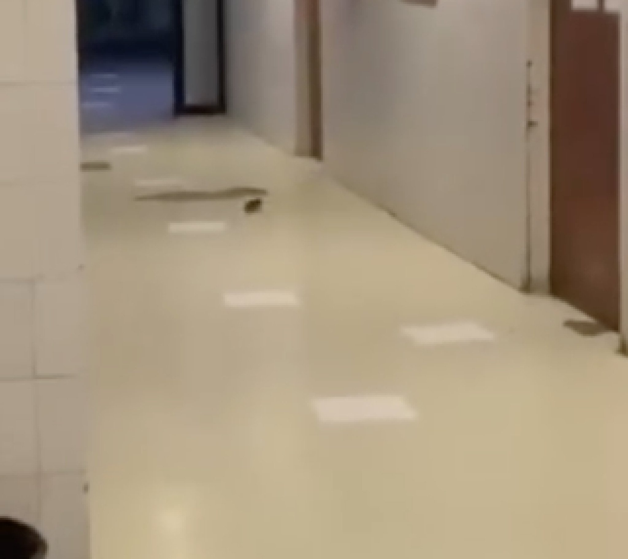 Screenshot-2024-03-25-at-23.55.29