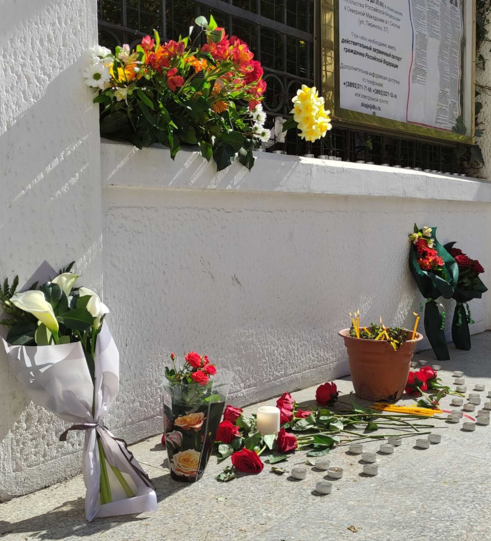 434198517_732032139107643_2187892755421862969_n