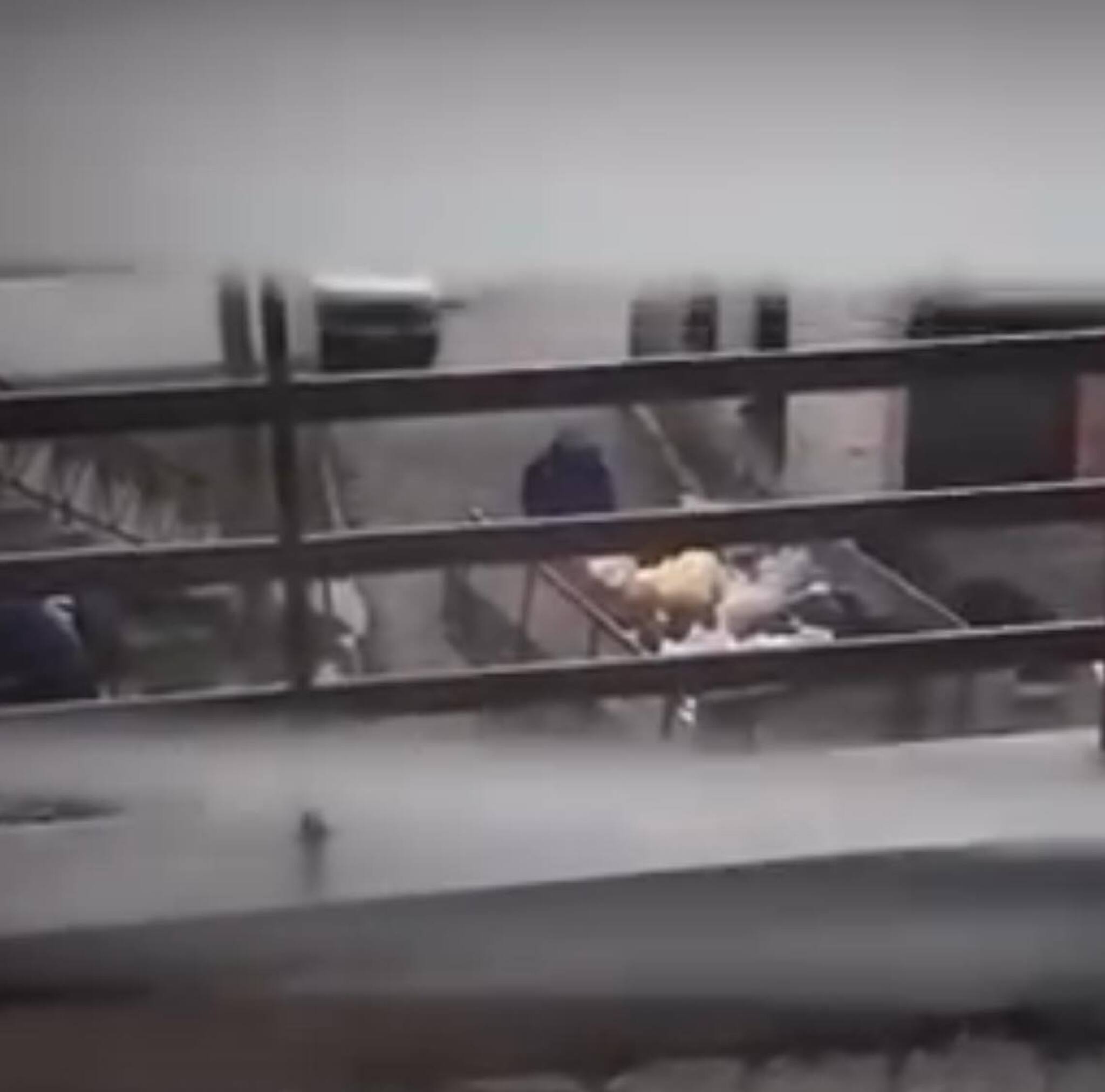 Policaec-Krusevo-dokumentacija