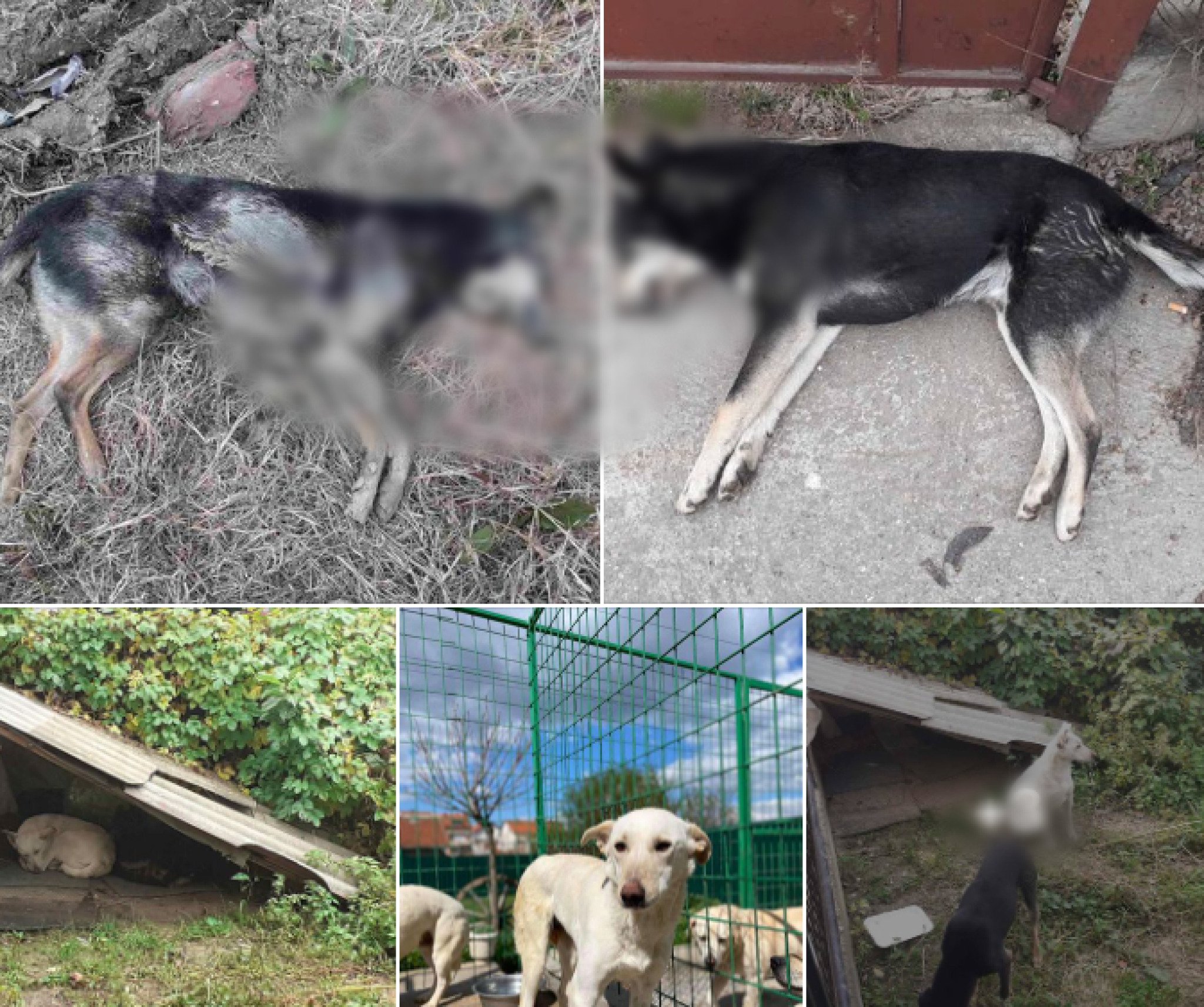 Screenshot-2024-02-25-at-10.25.03