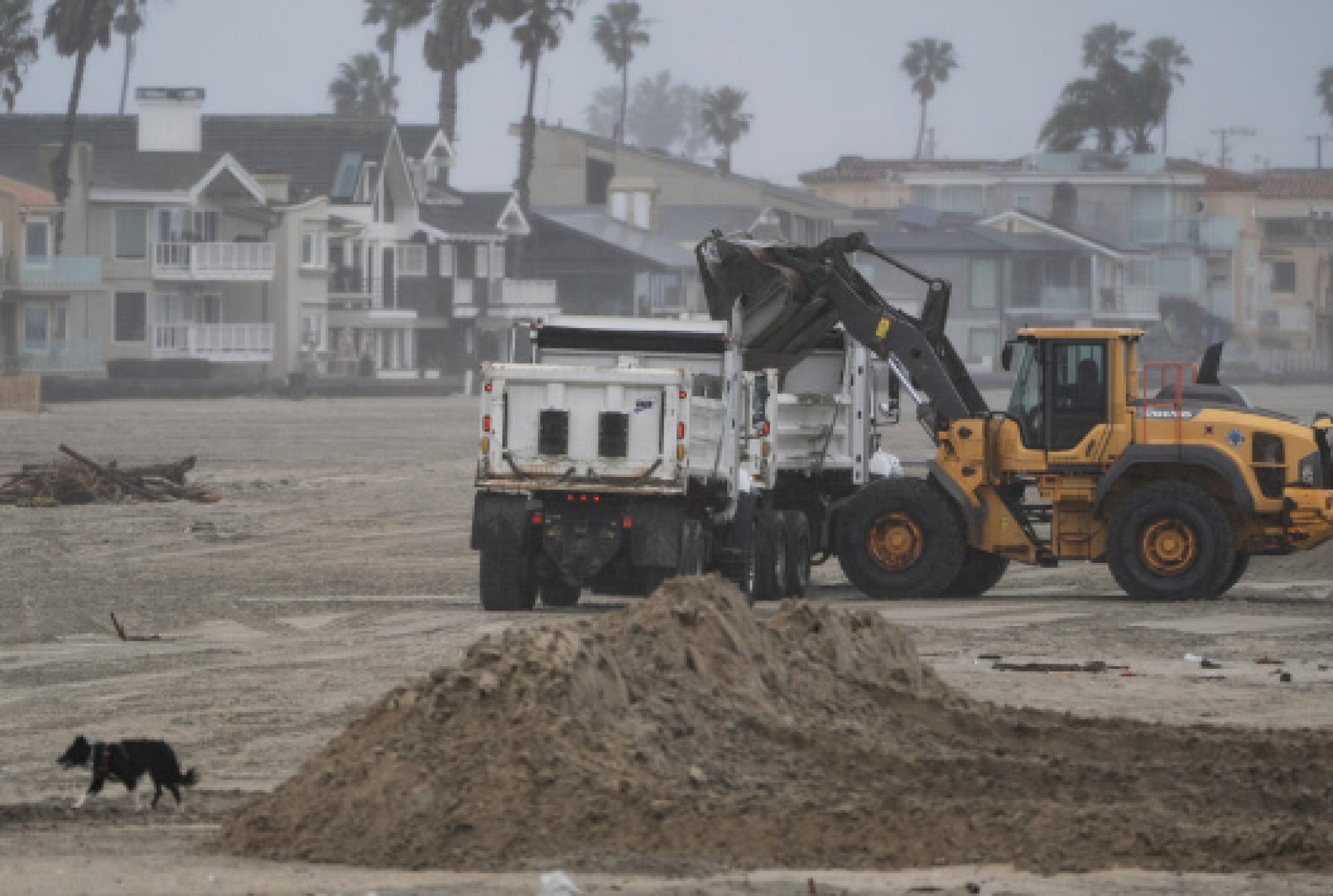 Screenshot-2024-02-20-at-07.58.14