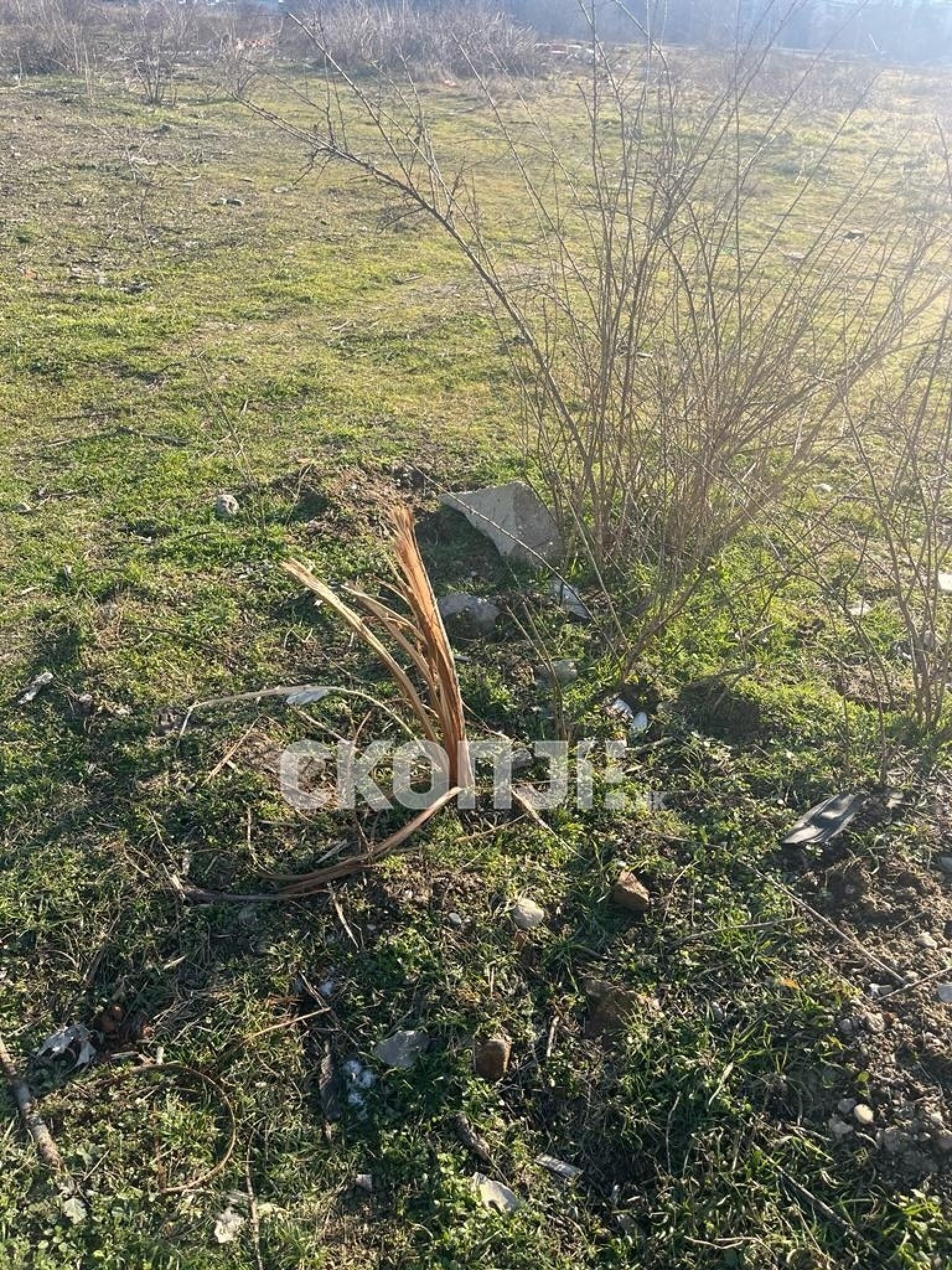 eZy-Watermark_23-01-2024_03-54-27-5500PM