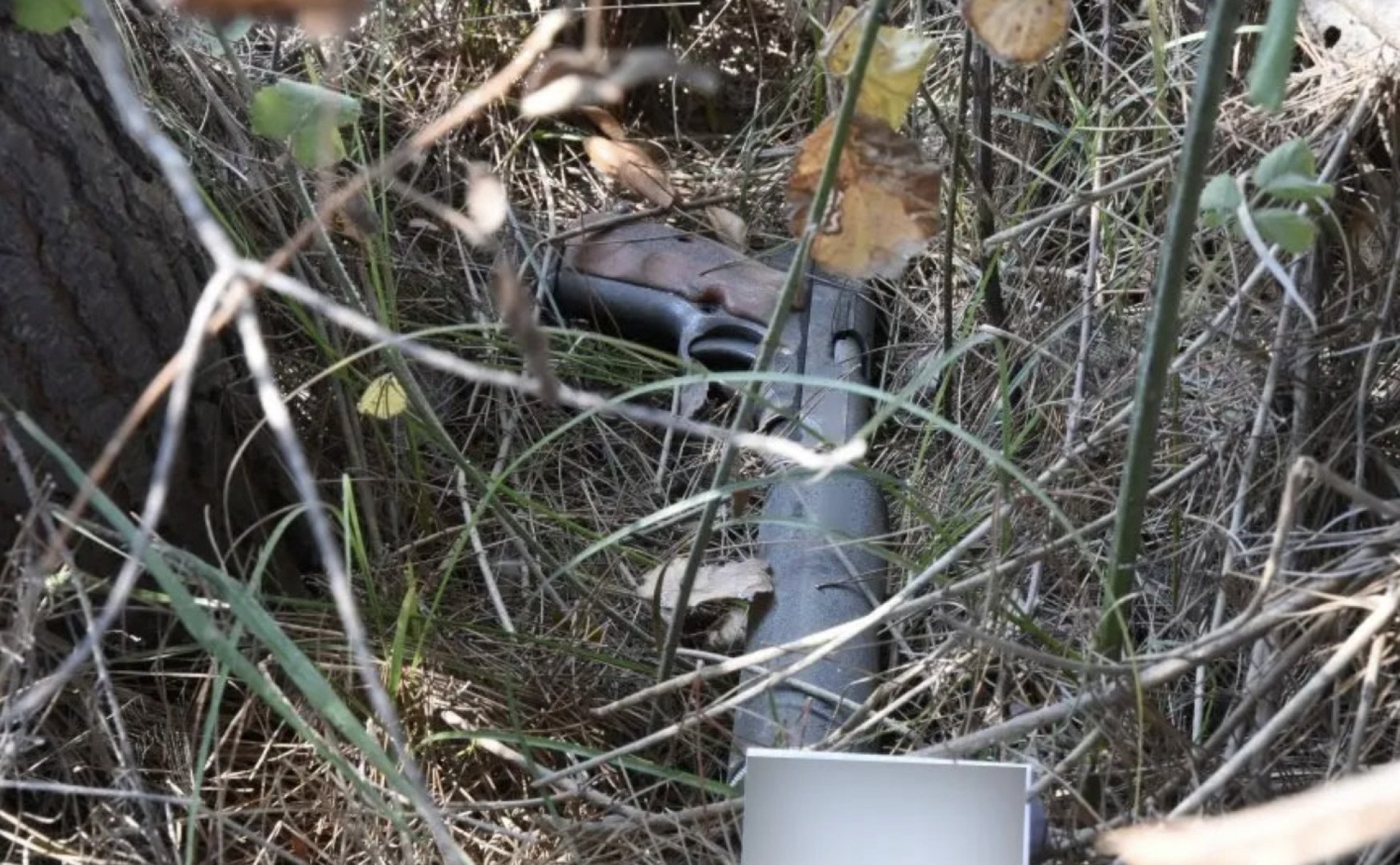 Screenshot-2024-01-12-at-10.20.09