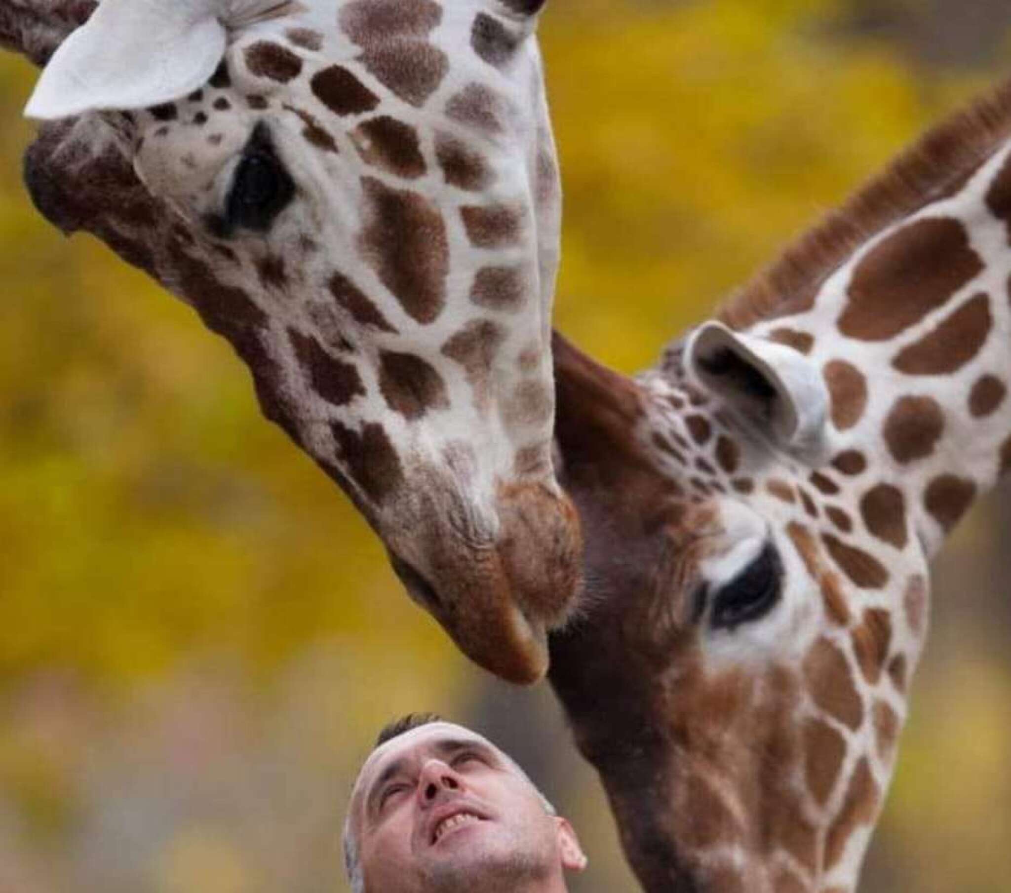 406154675_7113184518744087_8501680459420270785_n