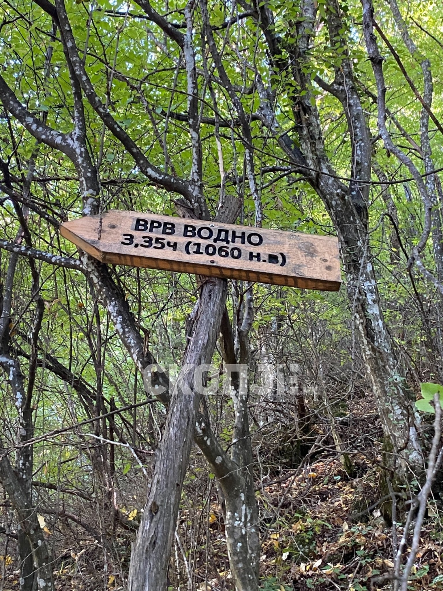 eZy-Watermark_01-10-2023_05-26-07-8130PM