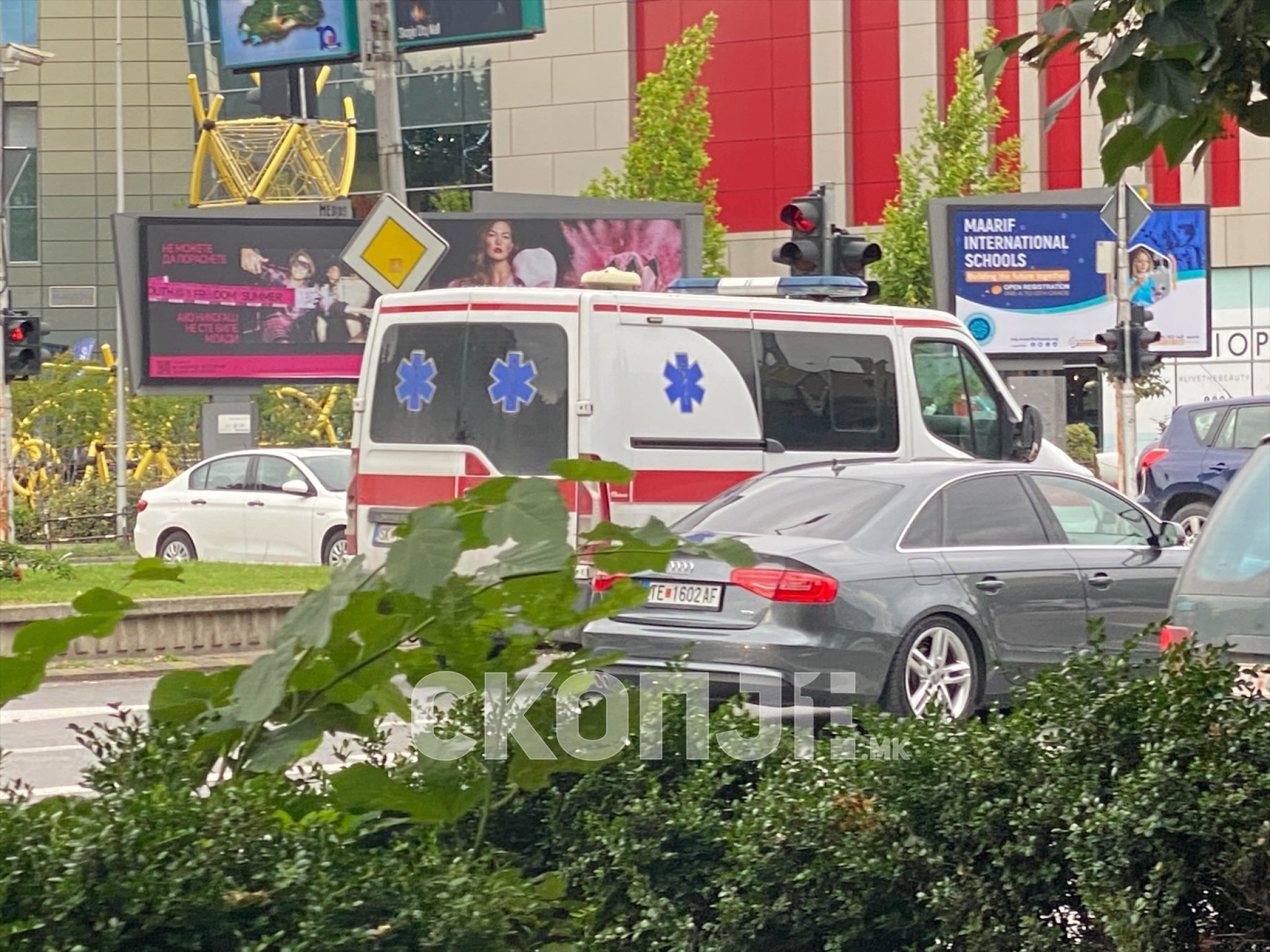 eZy-Watermark_01-10-2023_05-04-32-9790PM