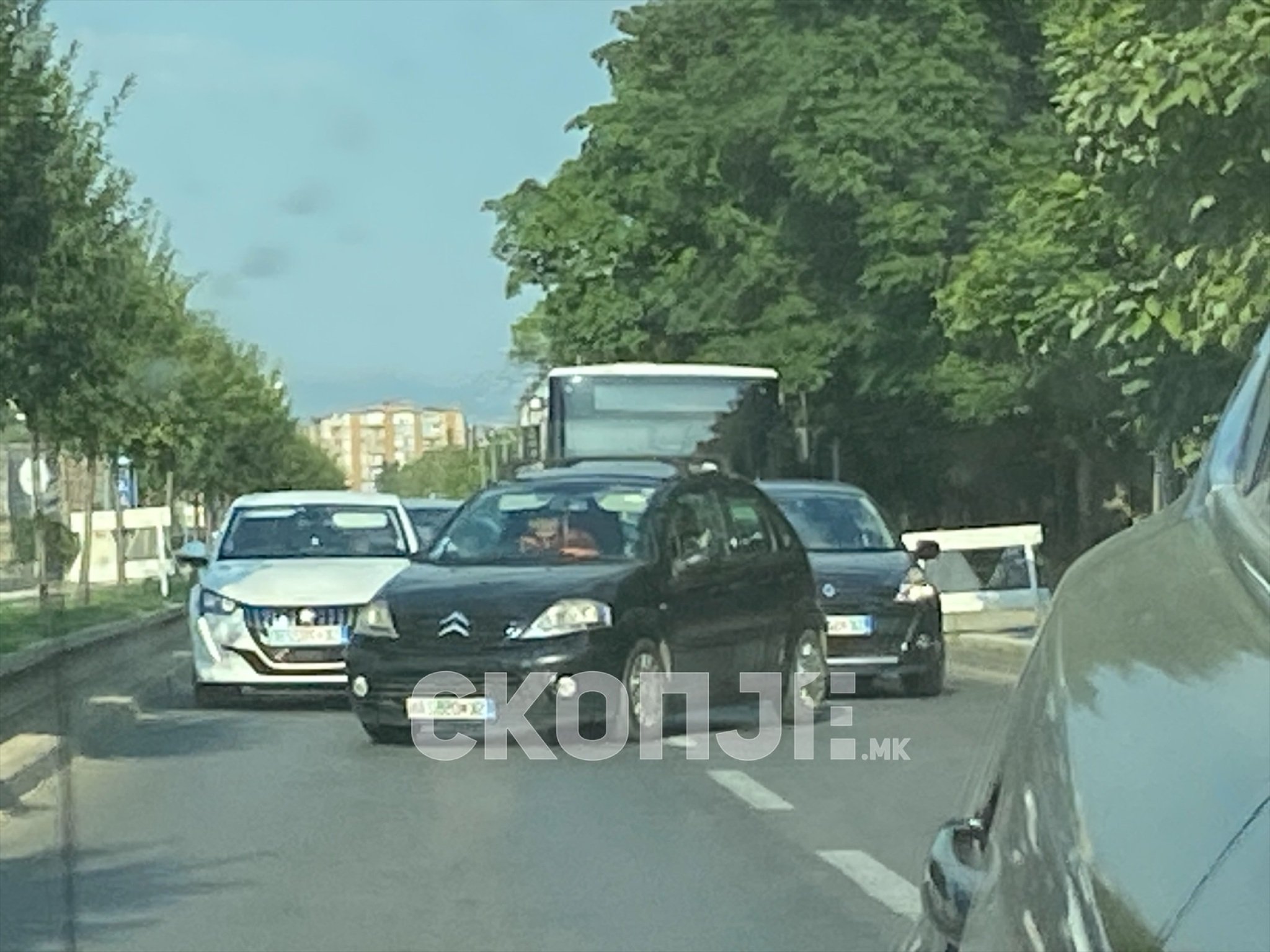 eZy-Watermark_01-10-2023_05-04-35-6640PM